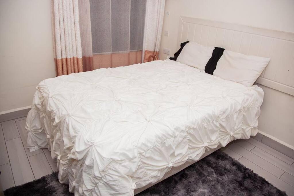 Welcome to this stylish one bed serenity 11B apartment view 4
