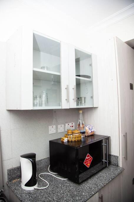 Welcome to this stylish one bed serenity 11B apartment view 5