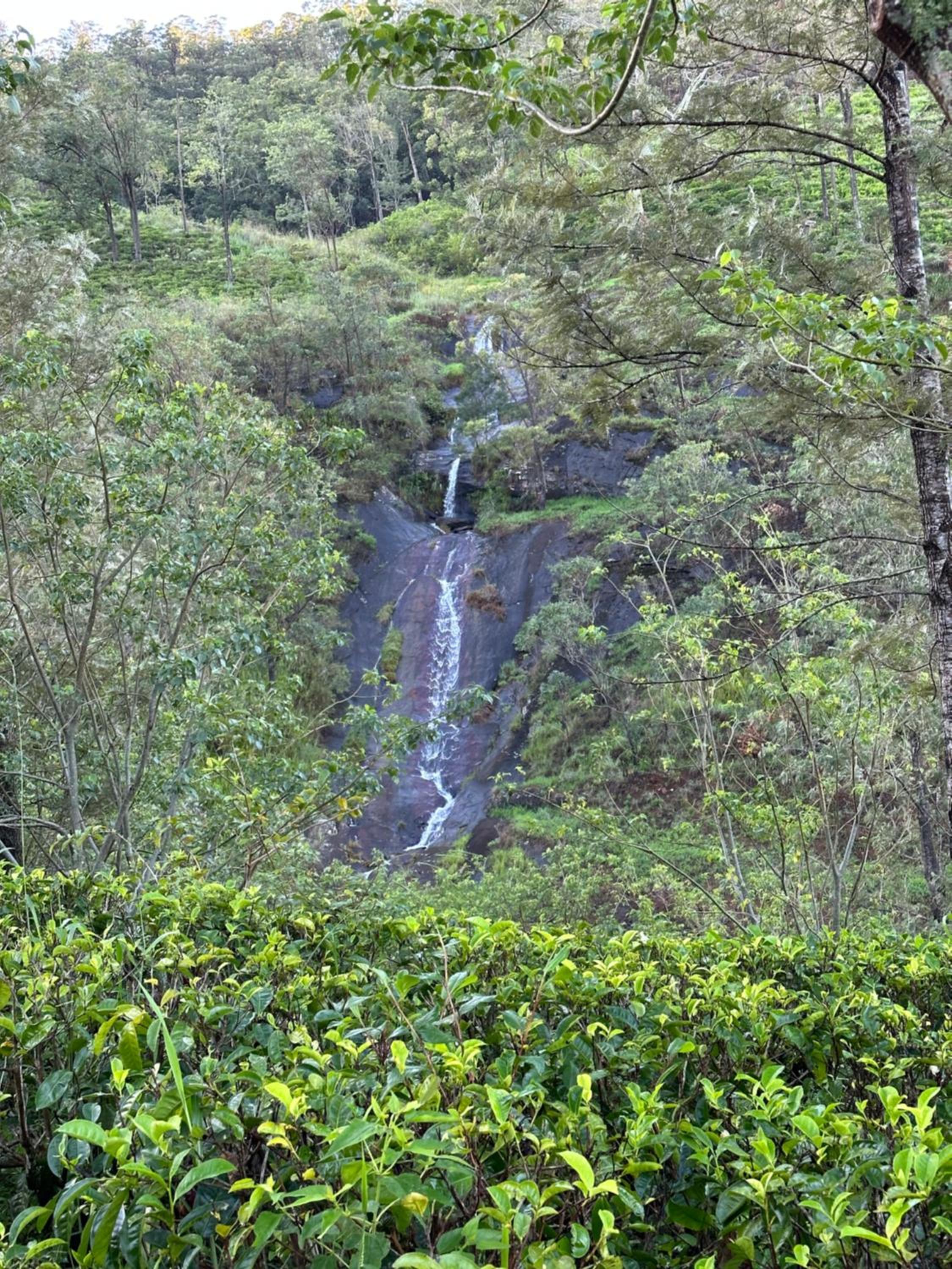 Photo 41