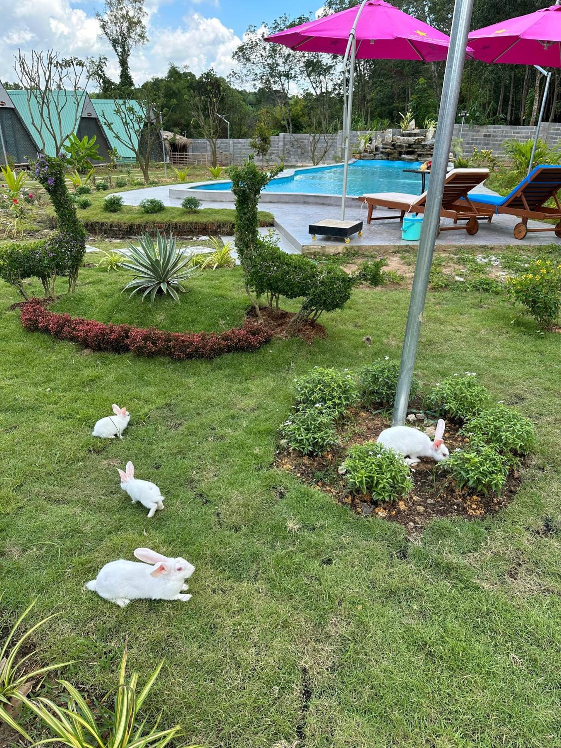 Lucky Star Resort view 4