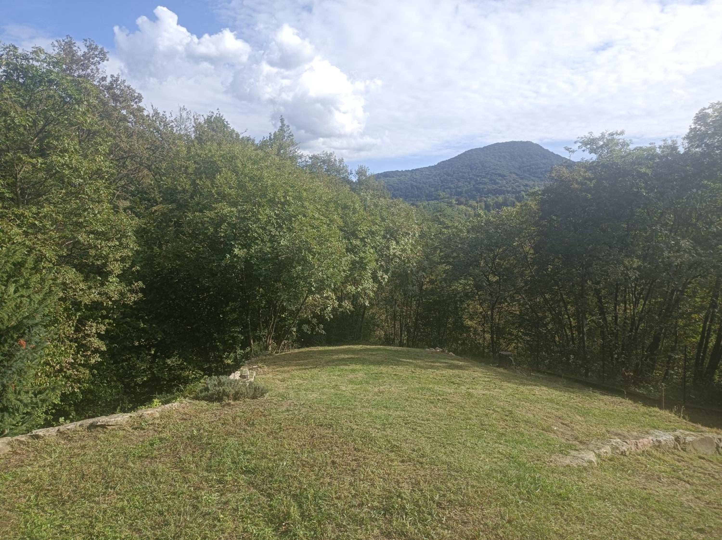 Photo 38