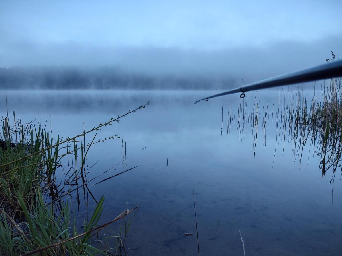 Photo 41