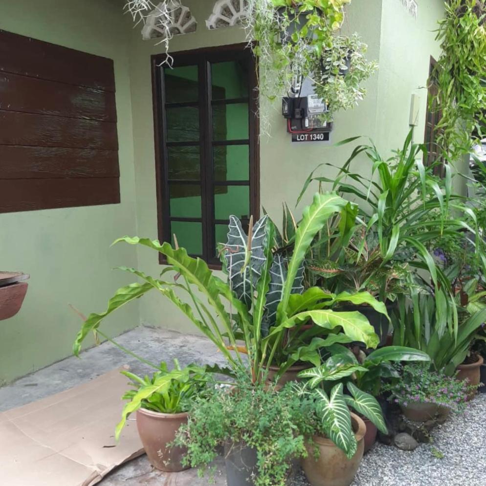 Hidden Homestay