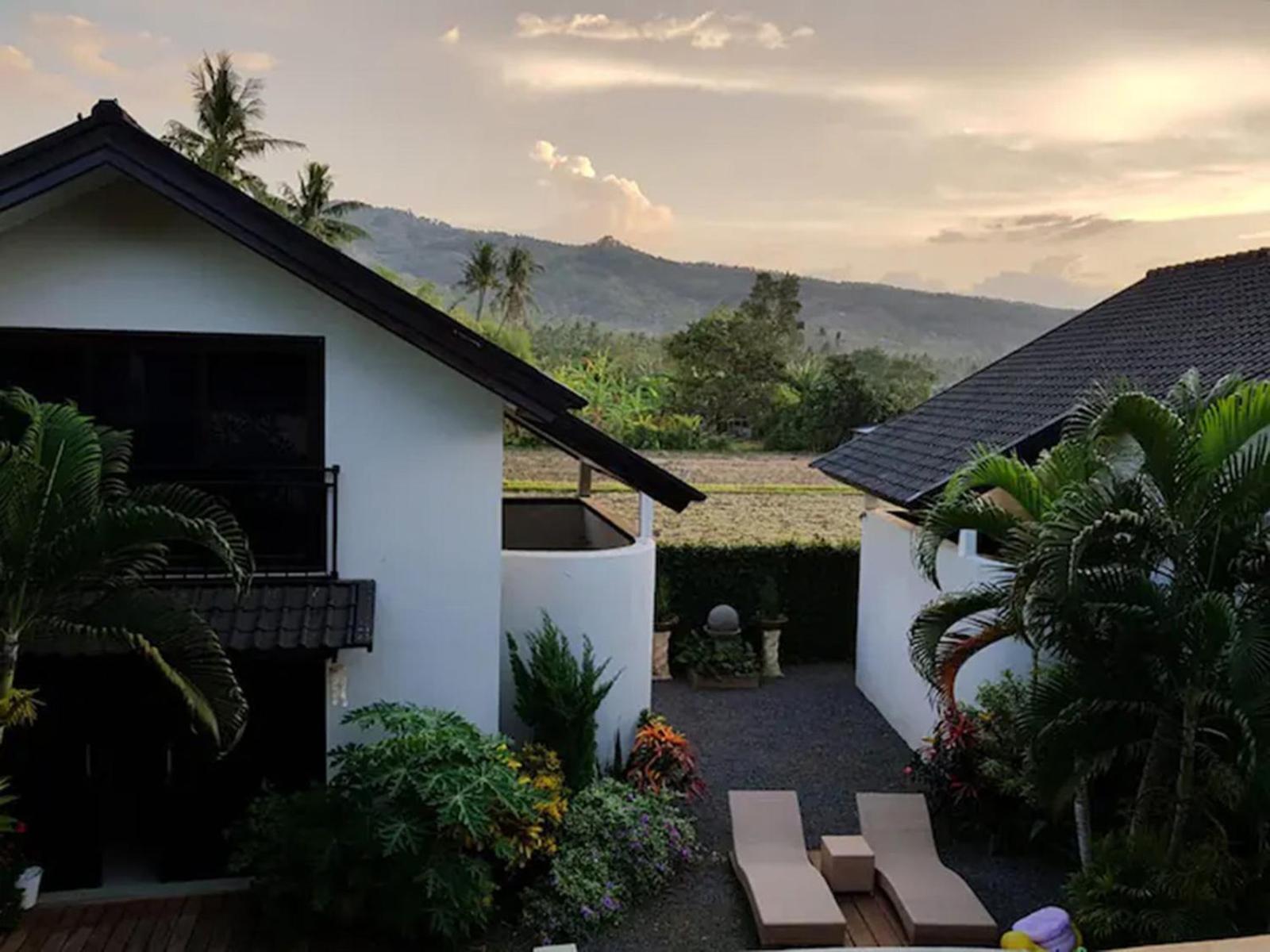 De Papaya Lovina view 4