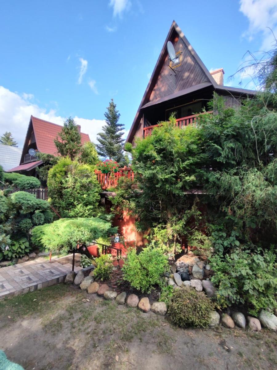 Photo 46