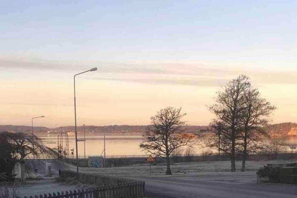 Topp modern Villa 200m från havet nära centrum och natur view 5