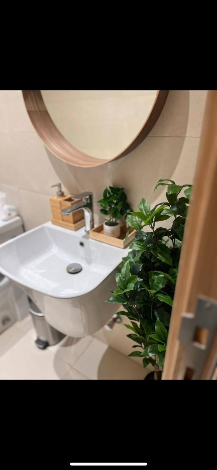 Roses Studio Apartment