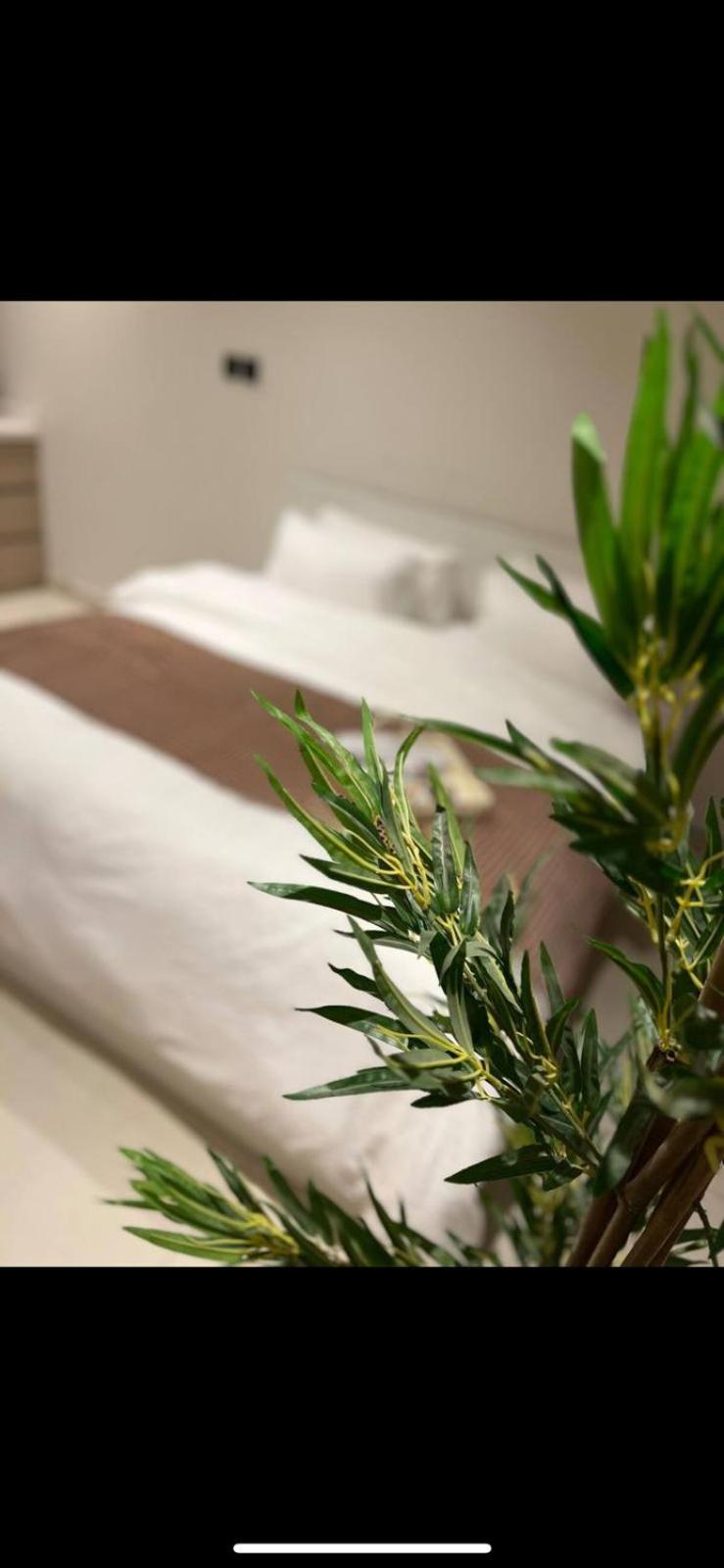 Roses Studio Apartment