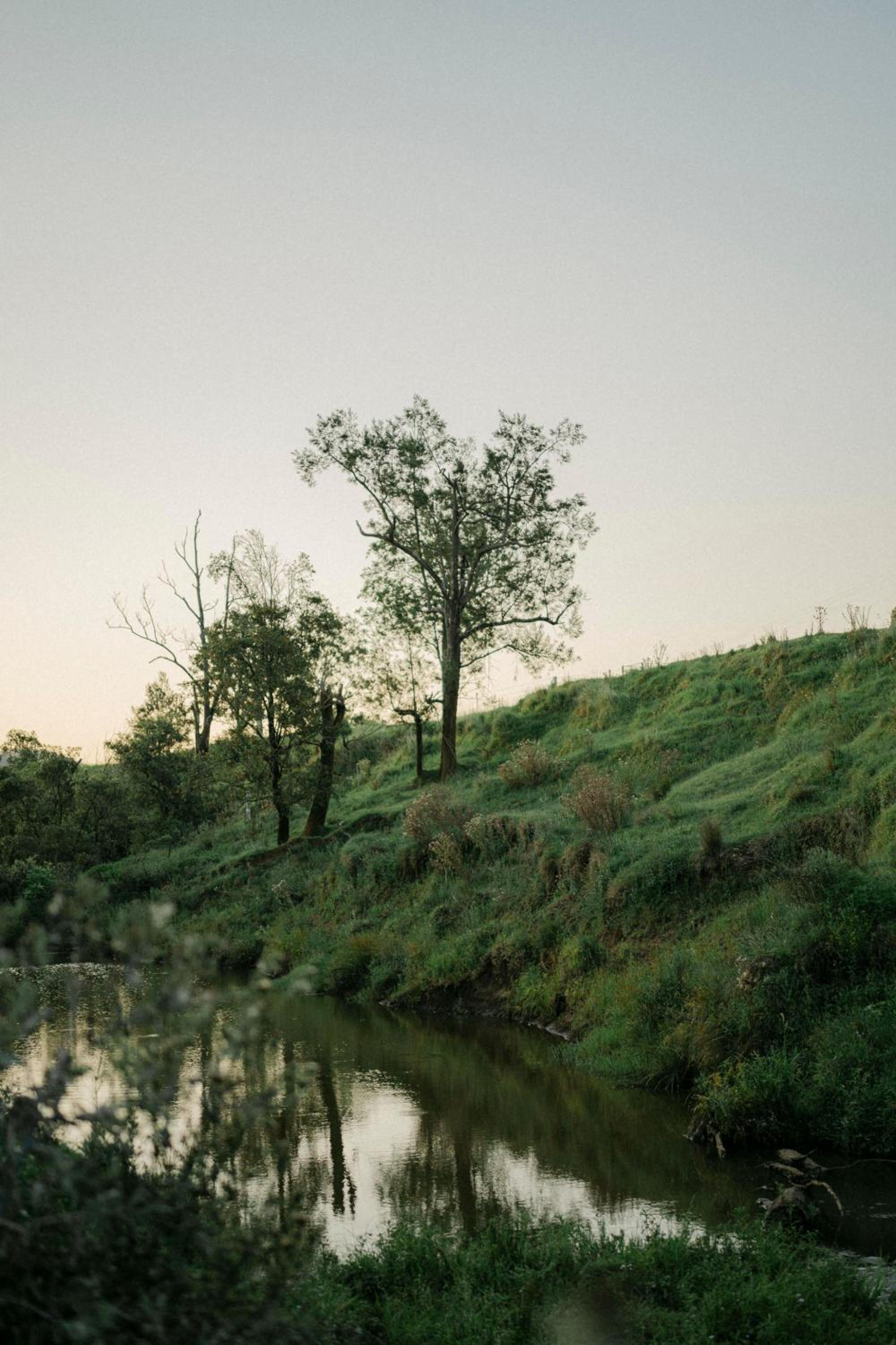 other
