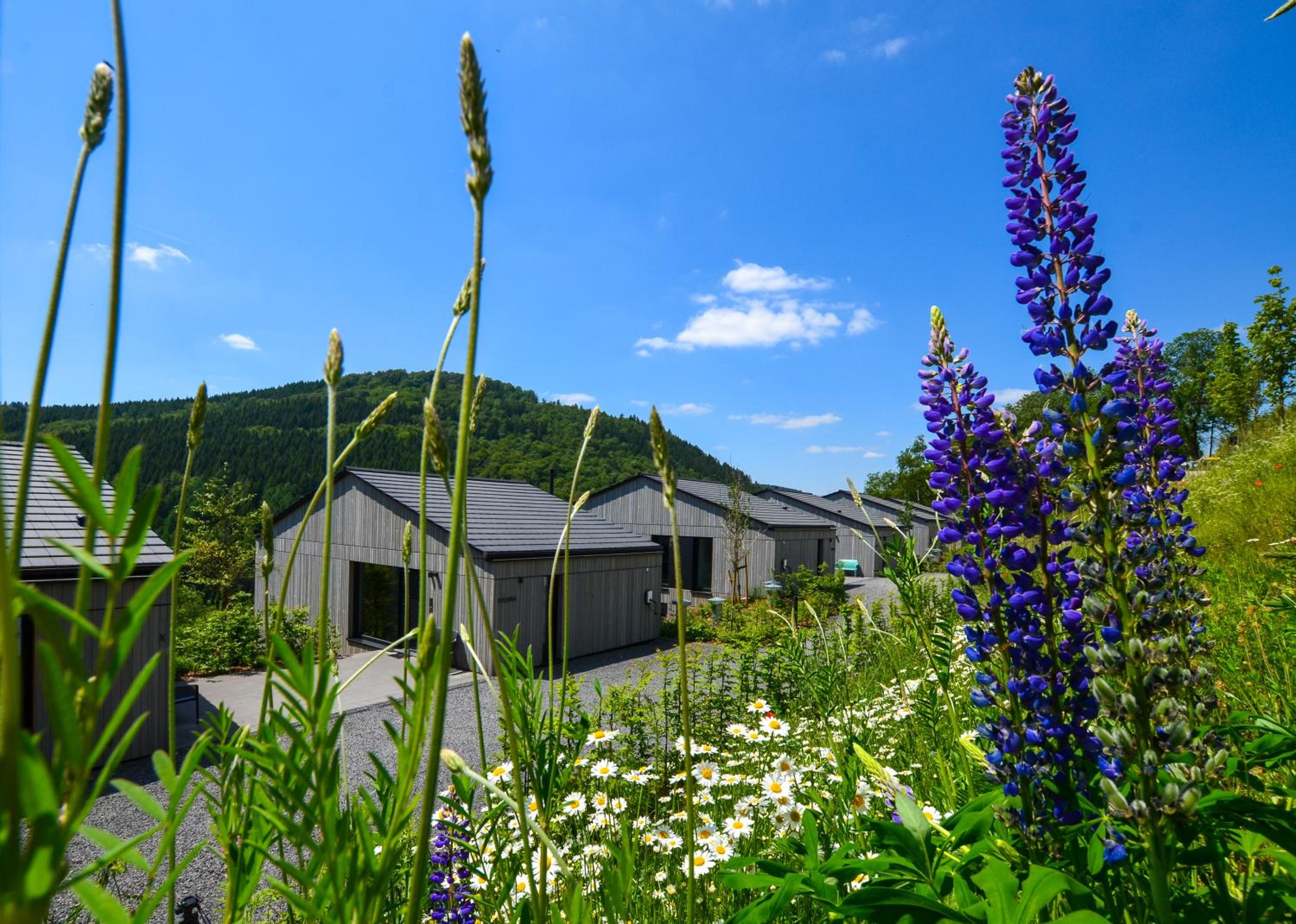 Sauerland Lodge - Haus Maxim view 4