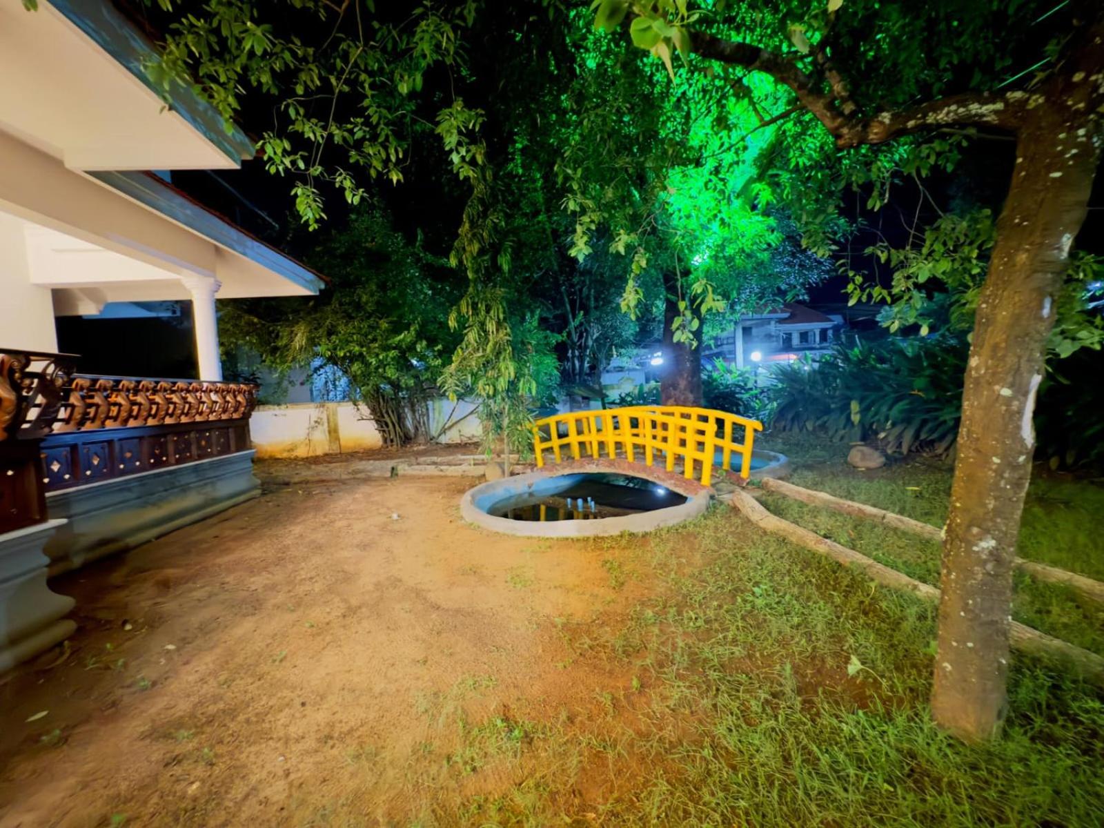 Dream Palace view 5