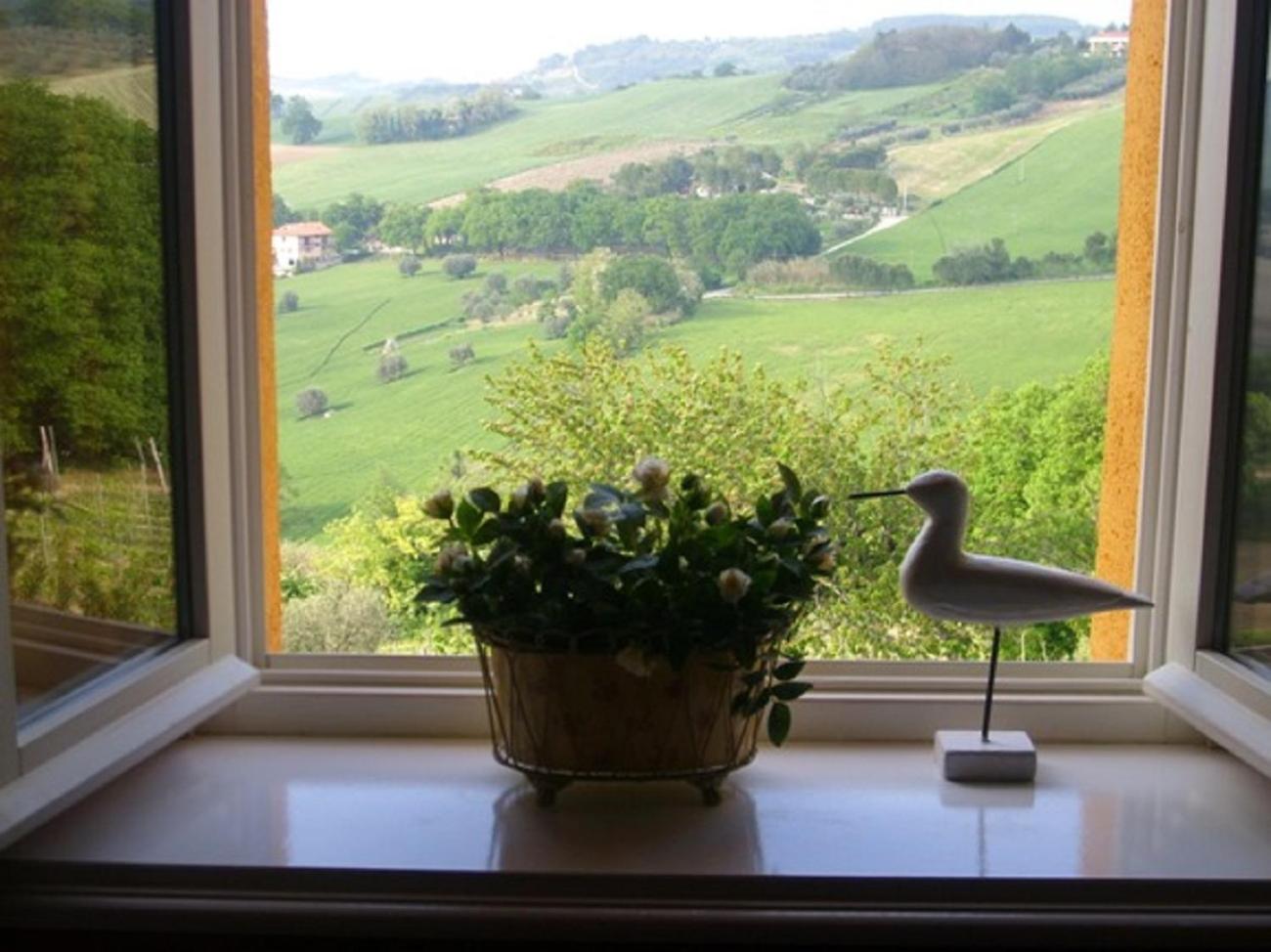 Country House Il Sassòne