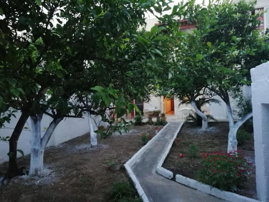 CASA NONNA LUCIA nel cuore del Salento