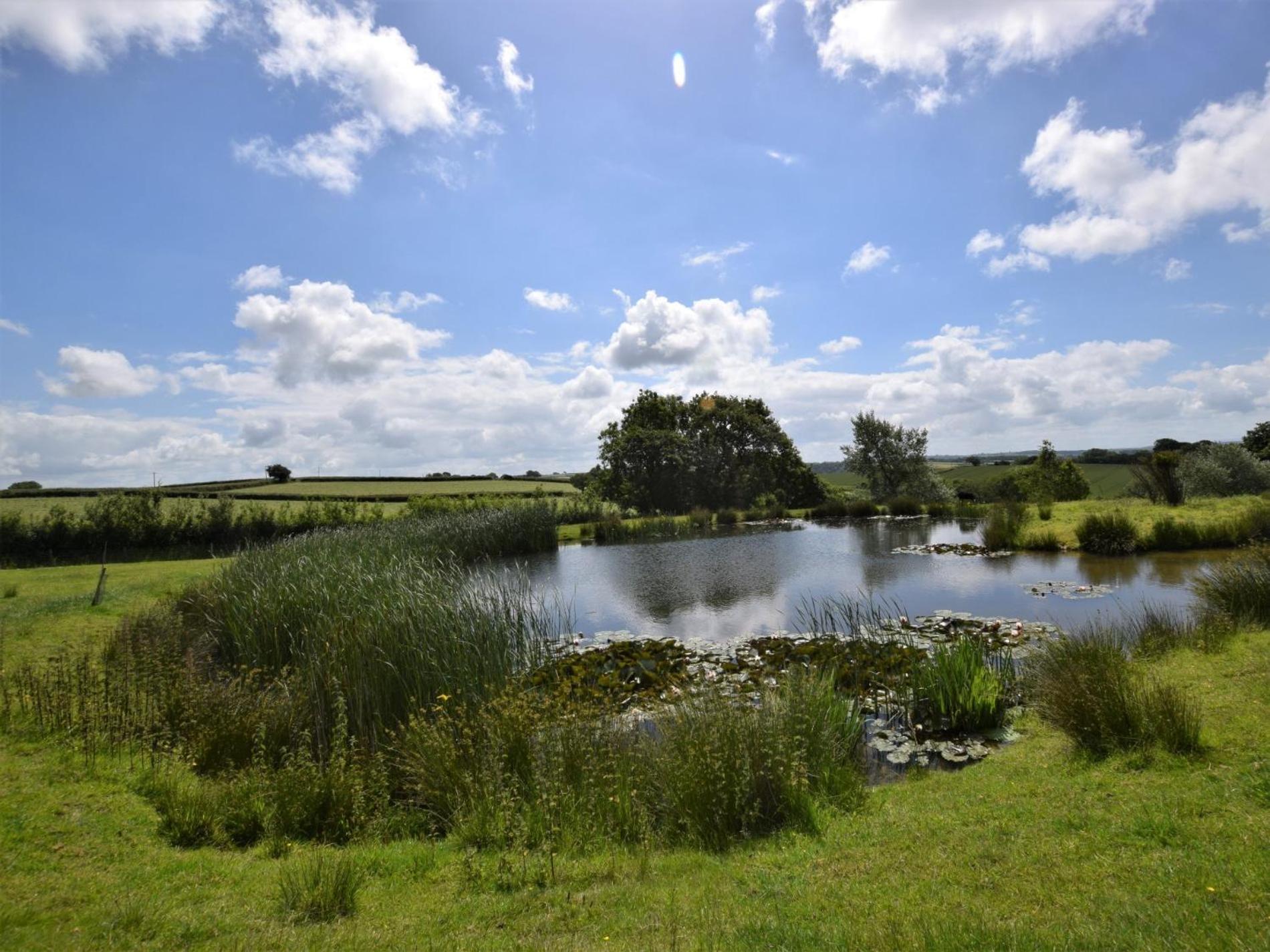 3 Bed in Umberleigh oc-hbeer view 5