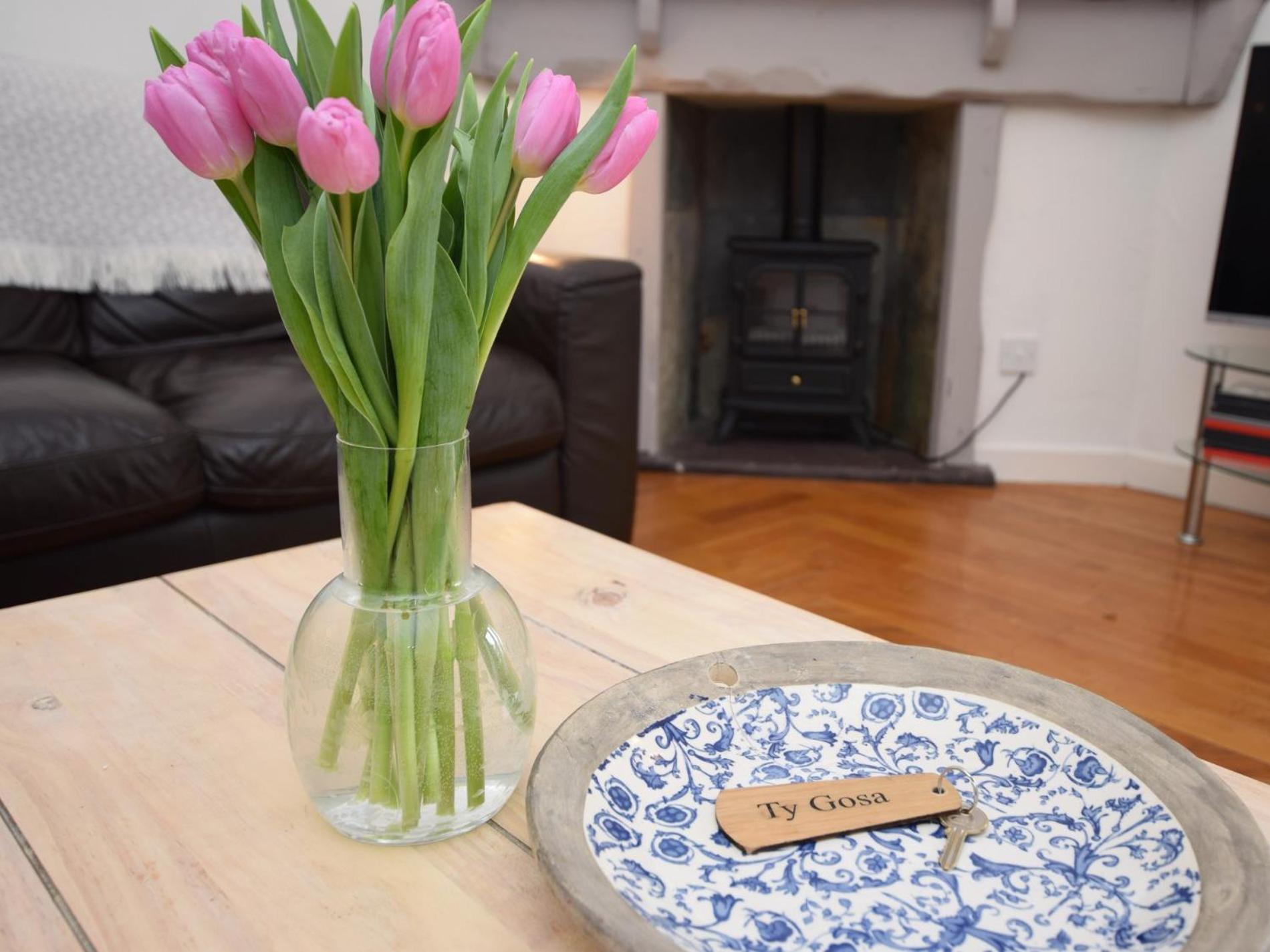 3 Bed in Conwy oc-tygos view 2