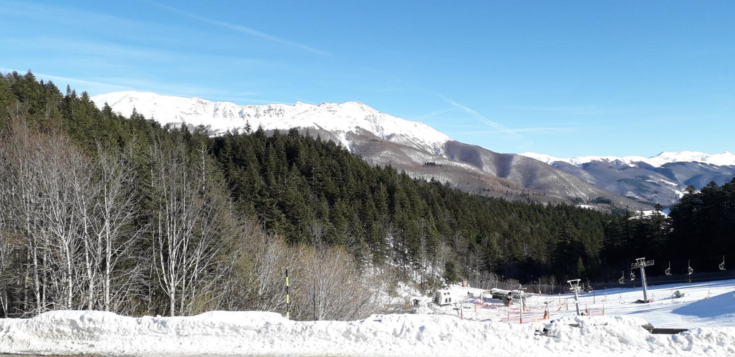 Monolocale Il Capriolo - Abetone