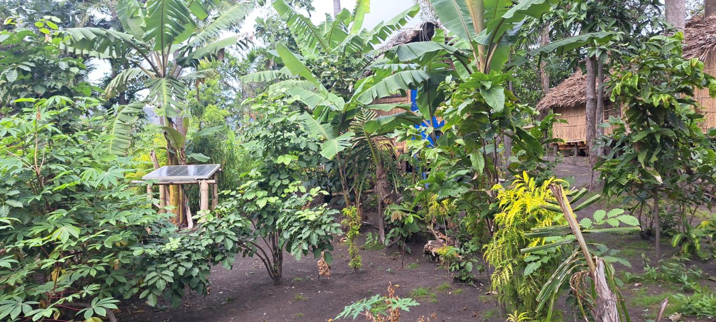 Tanna Chez Nous Bungalow & Tours view 5