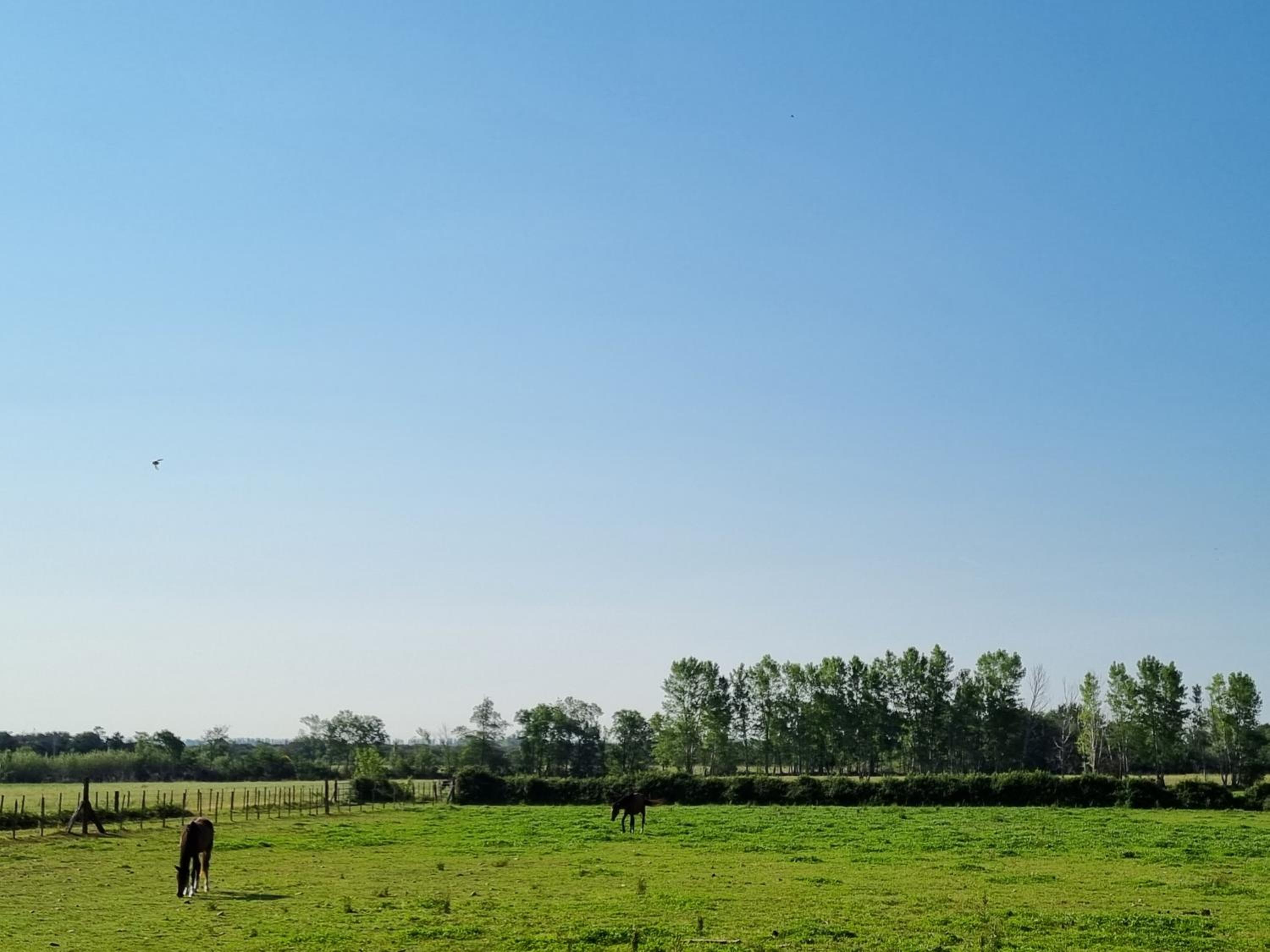 Domaine de la Tapie de Bouchet - en Camargue