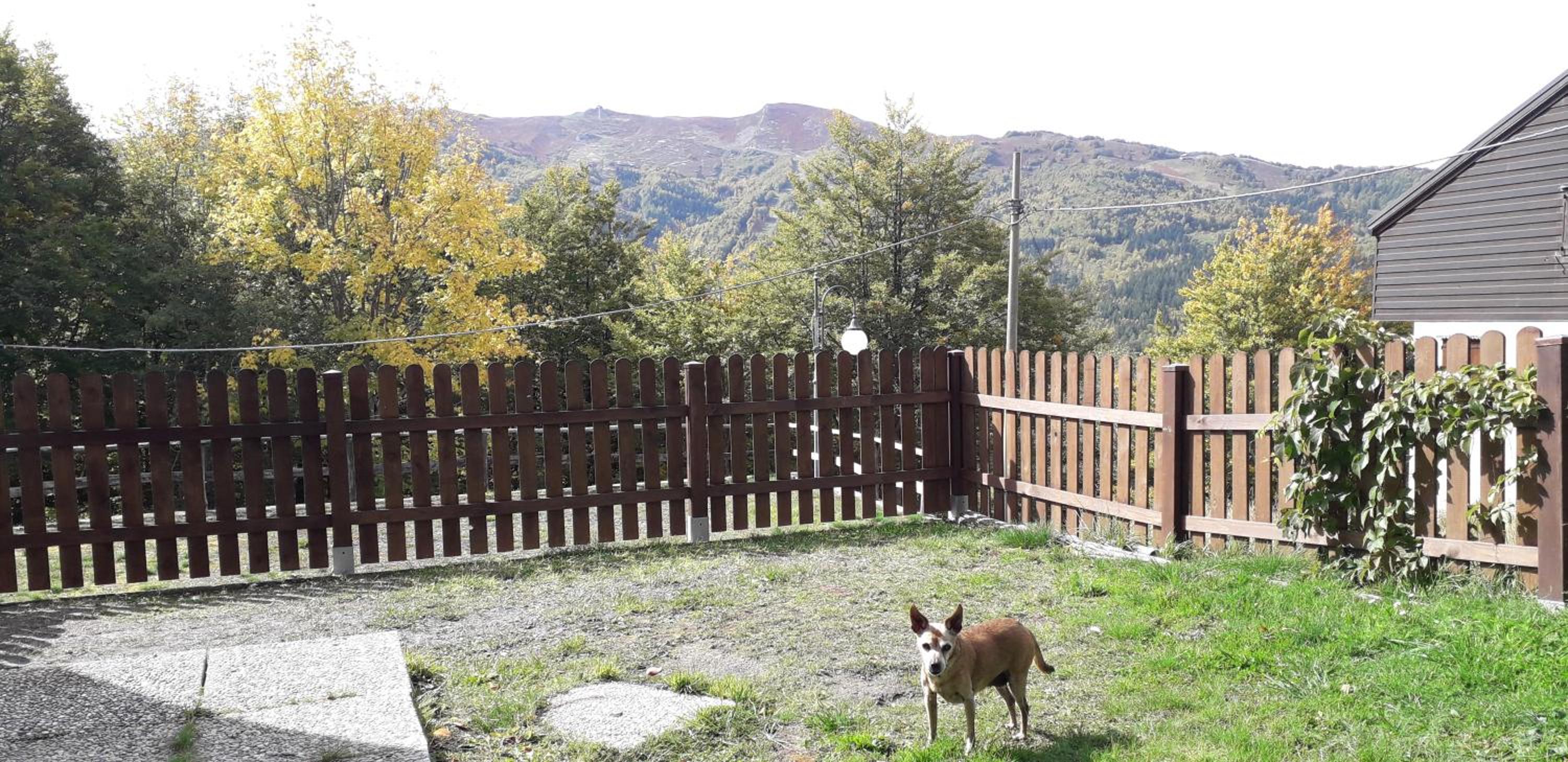 Monolocale Il Capriolo - Abetone