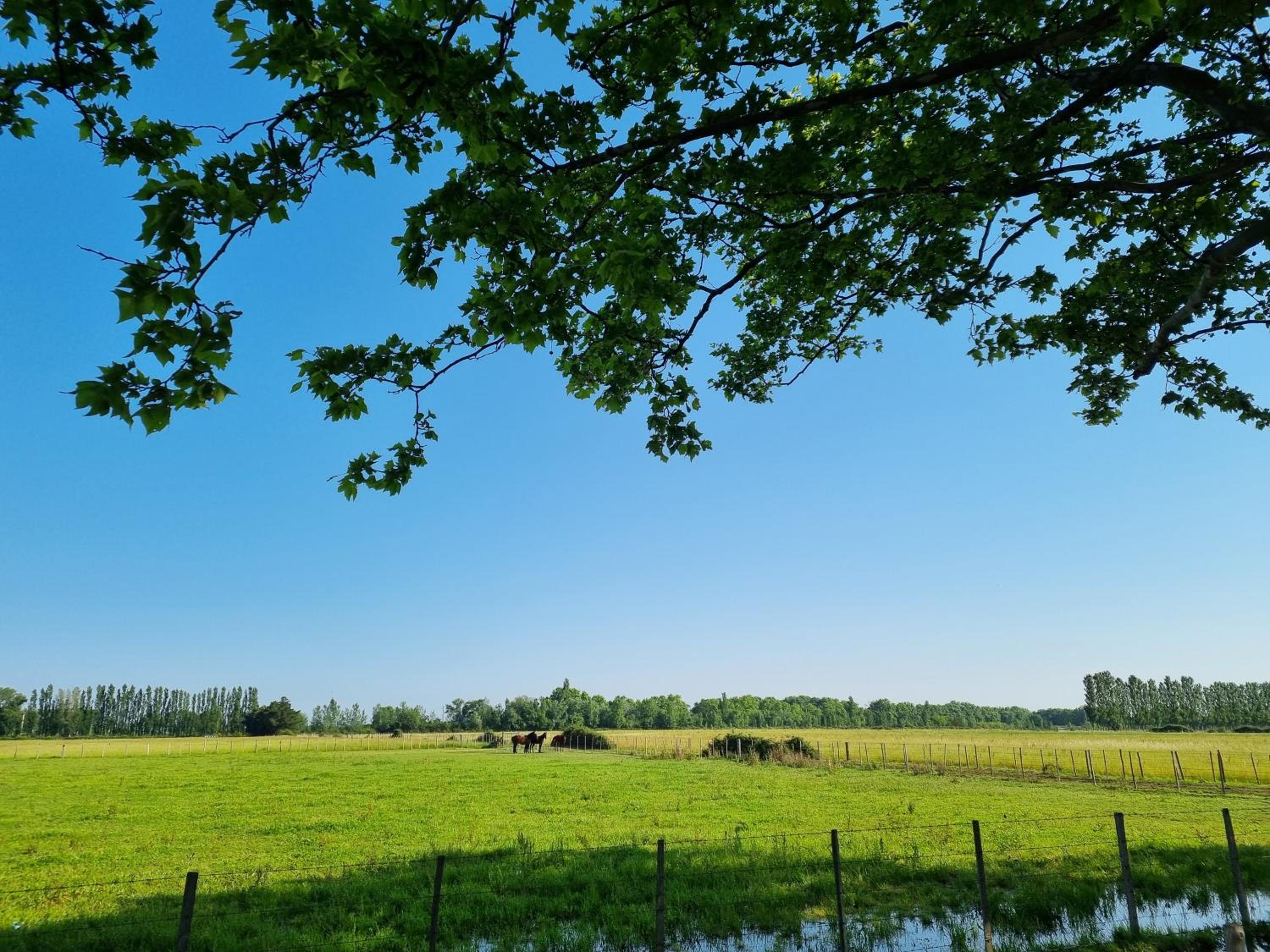 Domaine de la Tapie de Bouchet - en Camargue