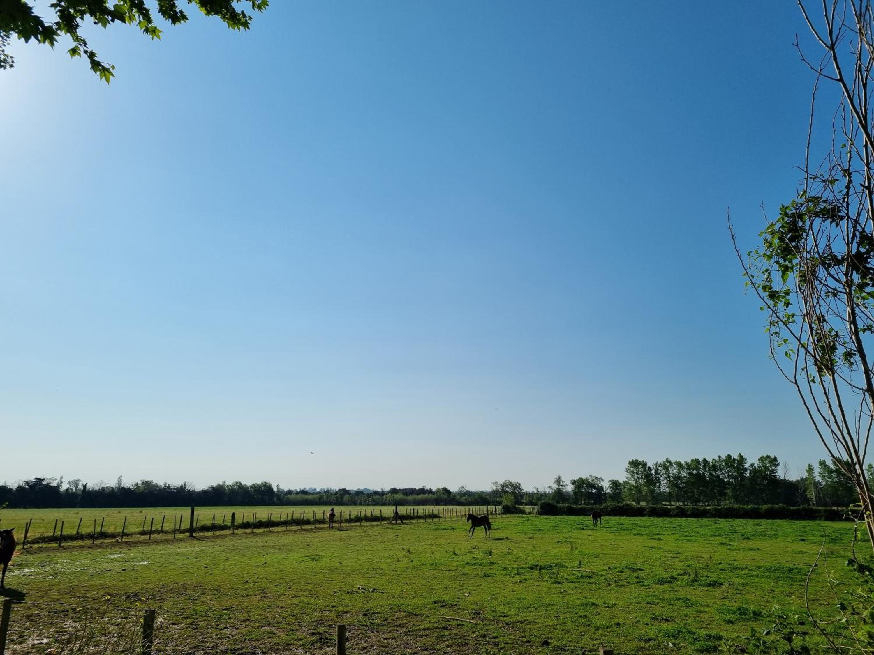 Domaine de la Tapie de Bouchet - en Camargue