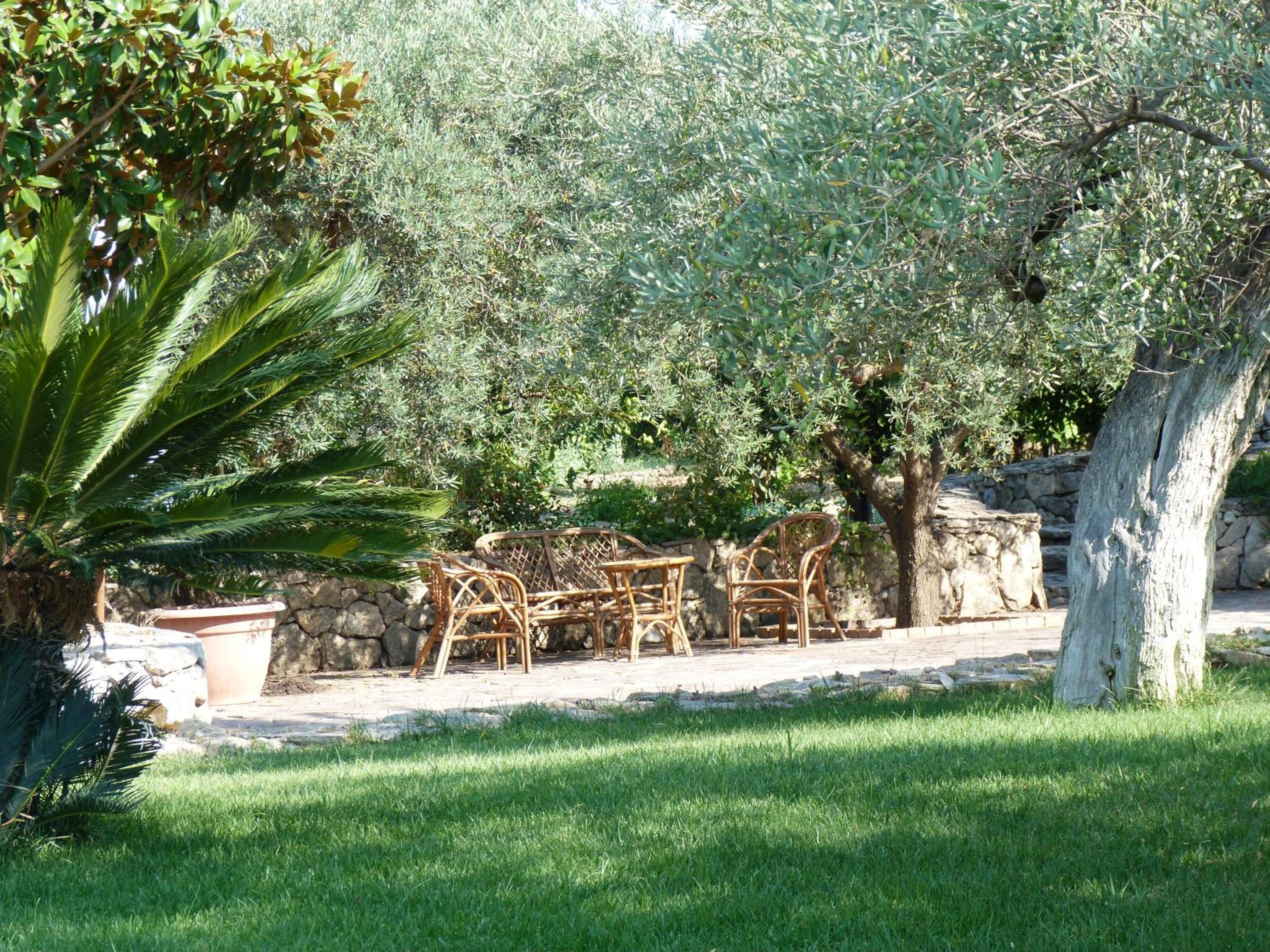 Poggio Delle Palme view 4