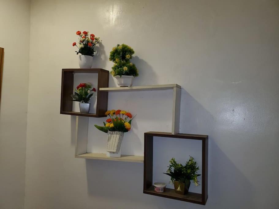 Photo 38