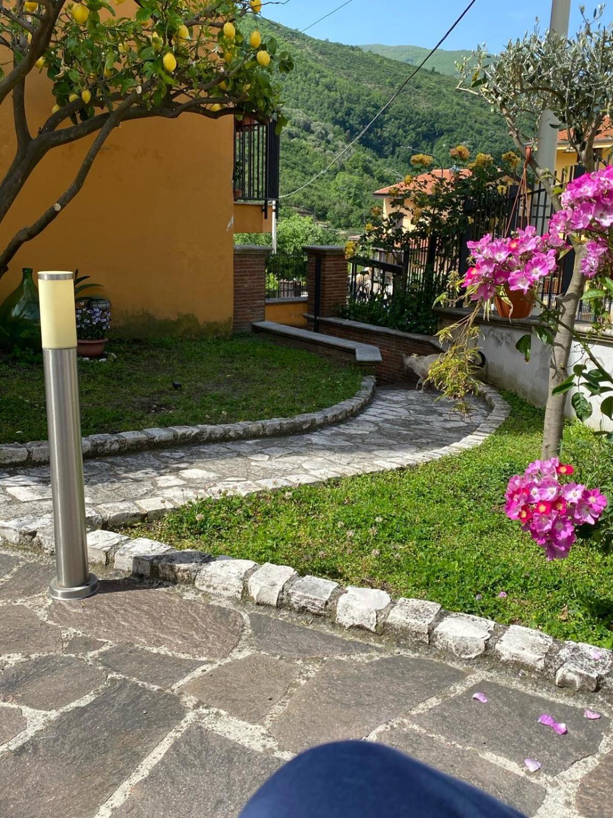 Photo 20