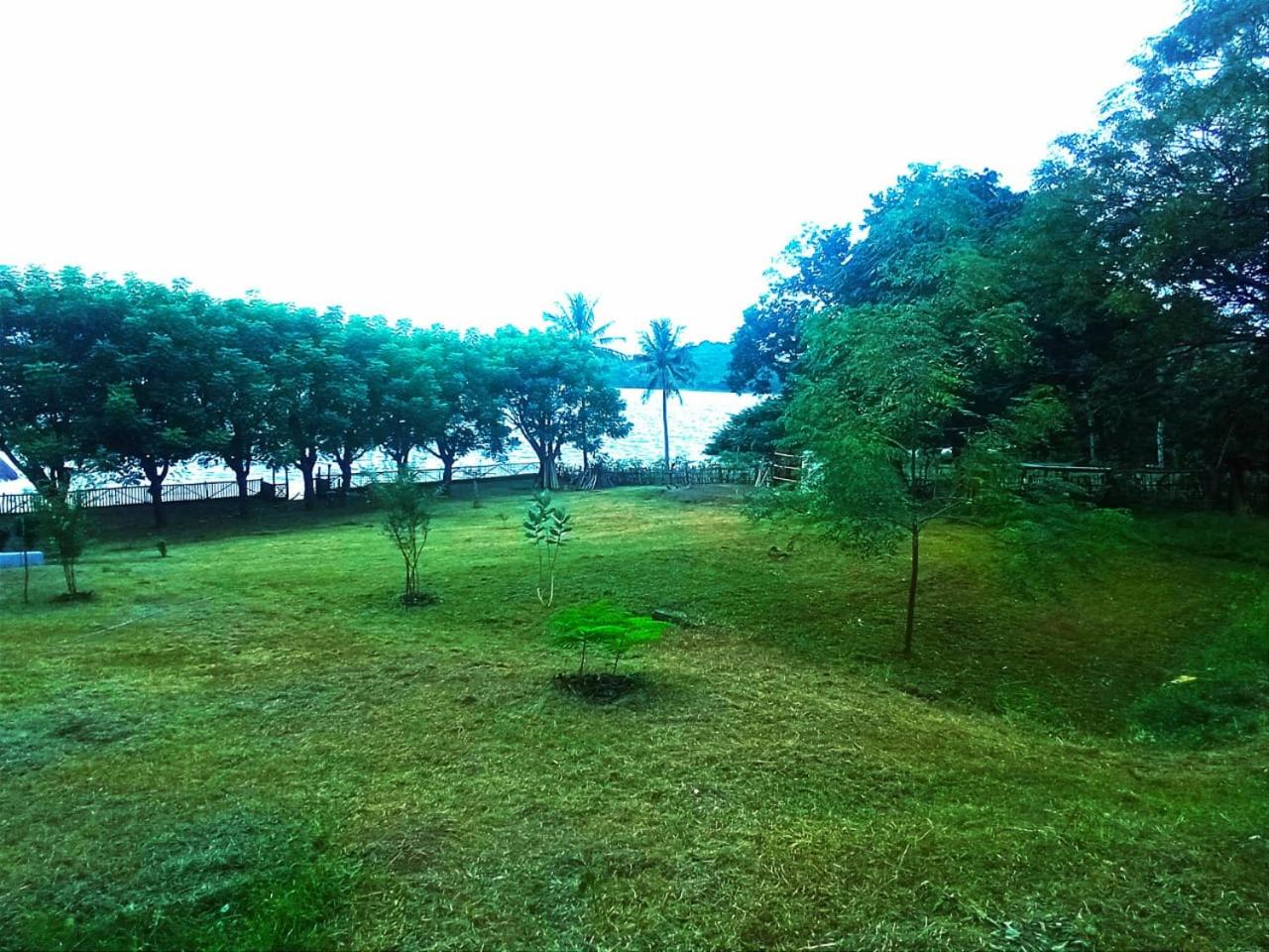 Photo 22