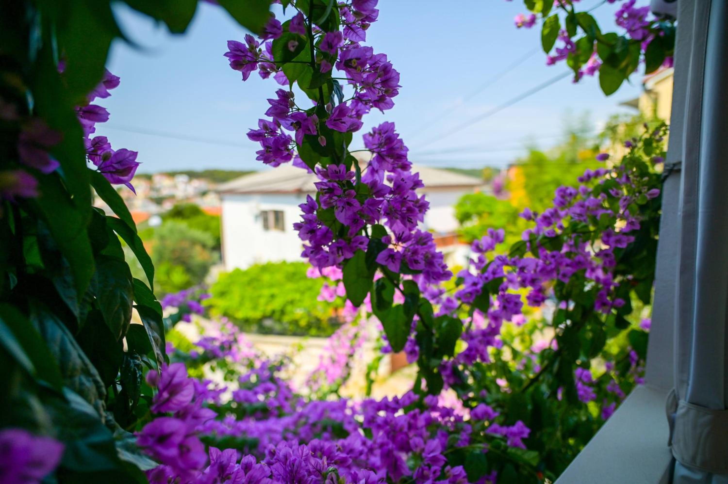 Apartmani Helena1