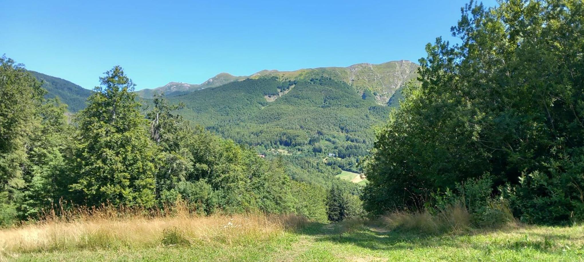 Monolocale Il Capriolo - Abetone