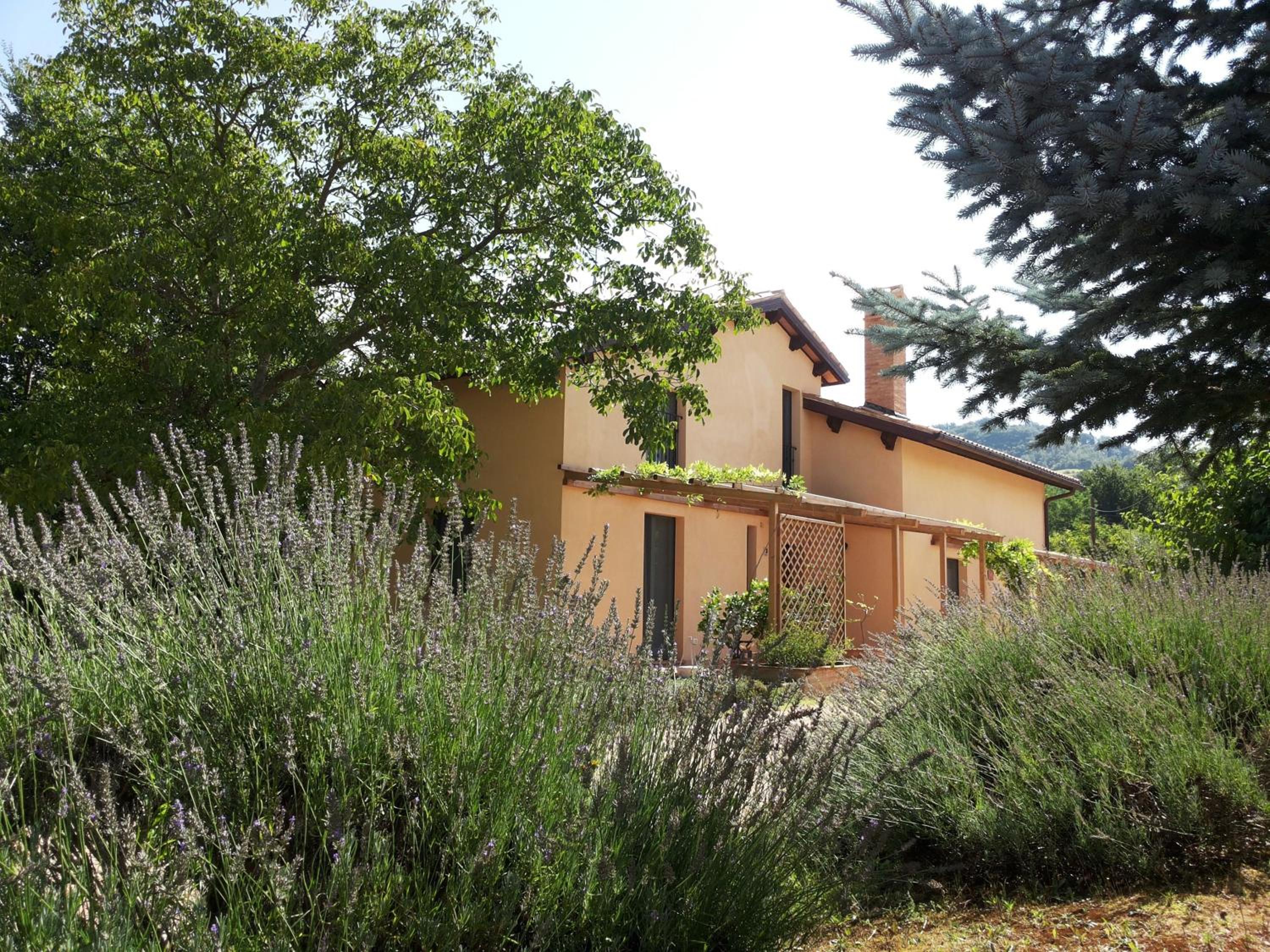 B&B Antegiano view 4
