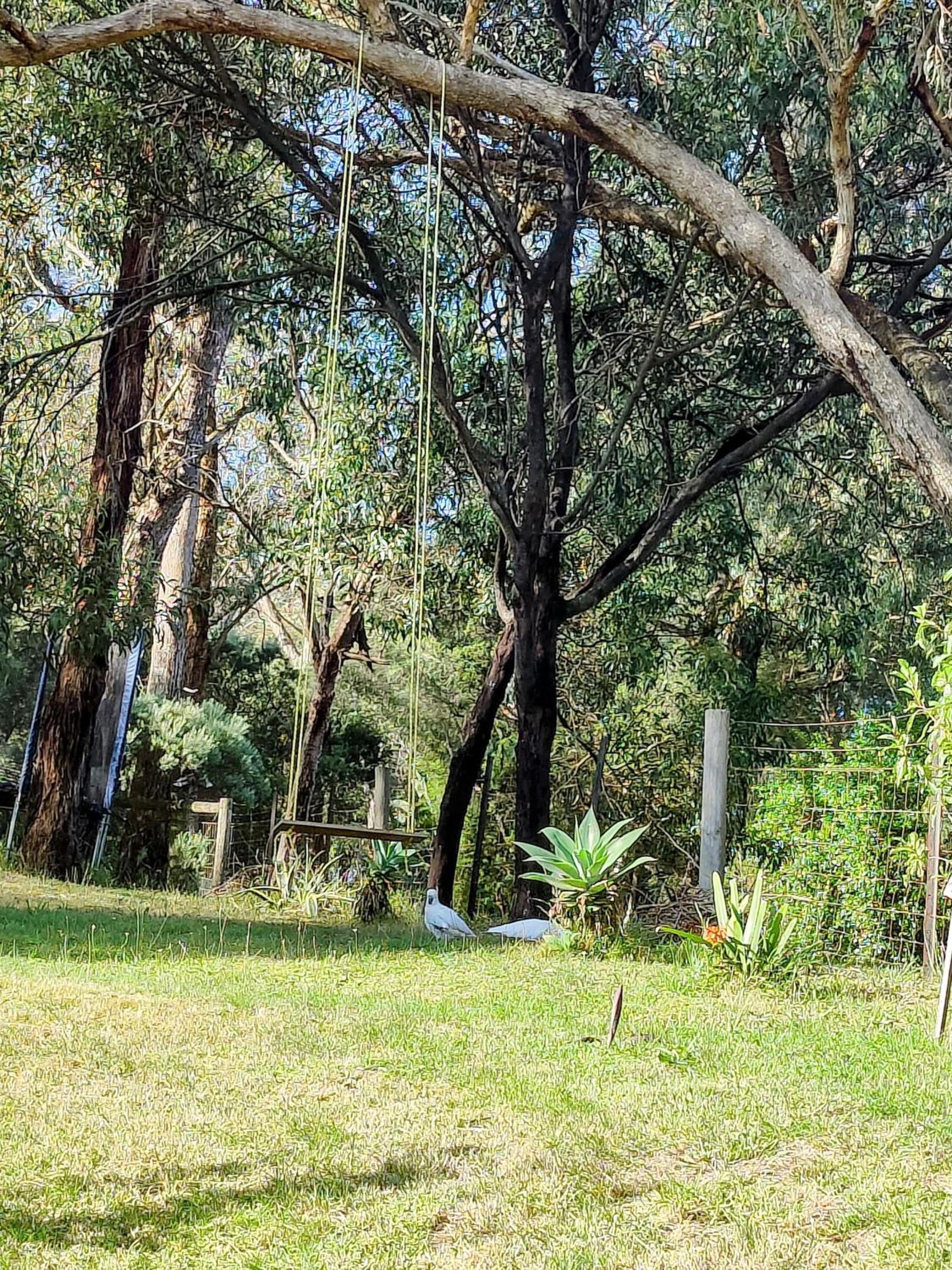 4-bedroom Acre Retreat with Pool & Garden - Pets and Long Stays Welcome