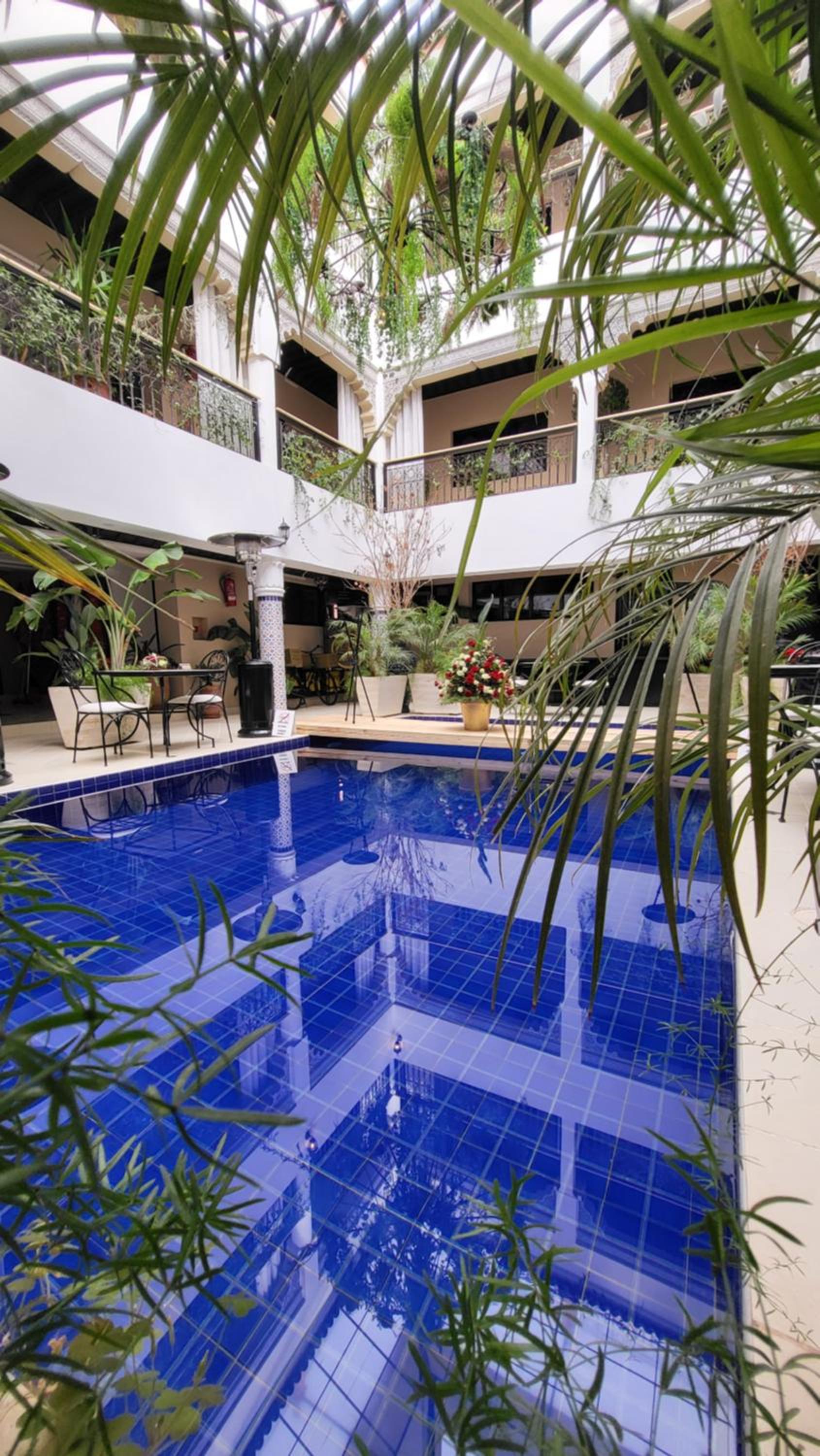 recepcion & lobby