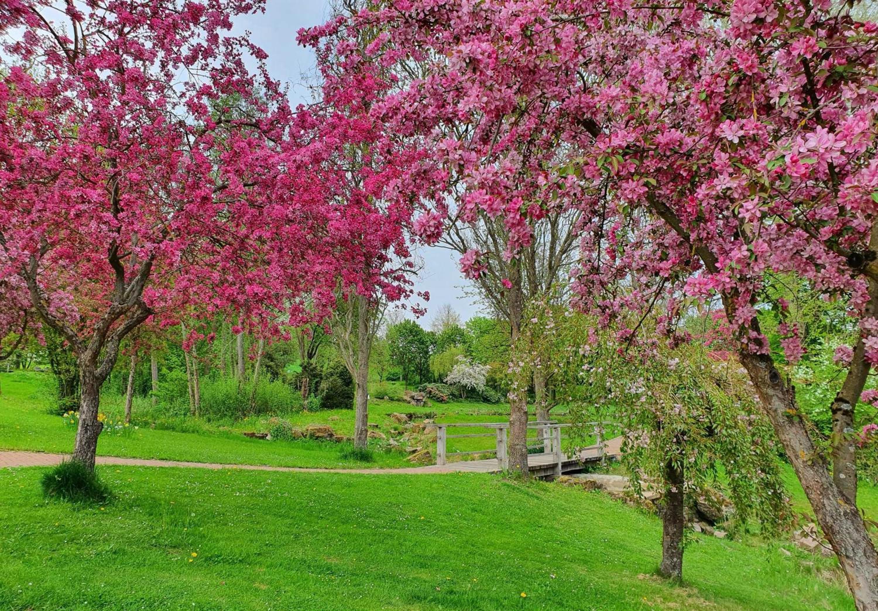 Kleinod am Kurpark