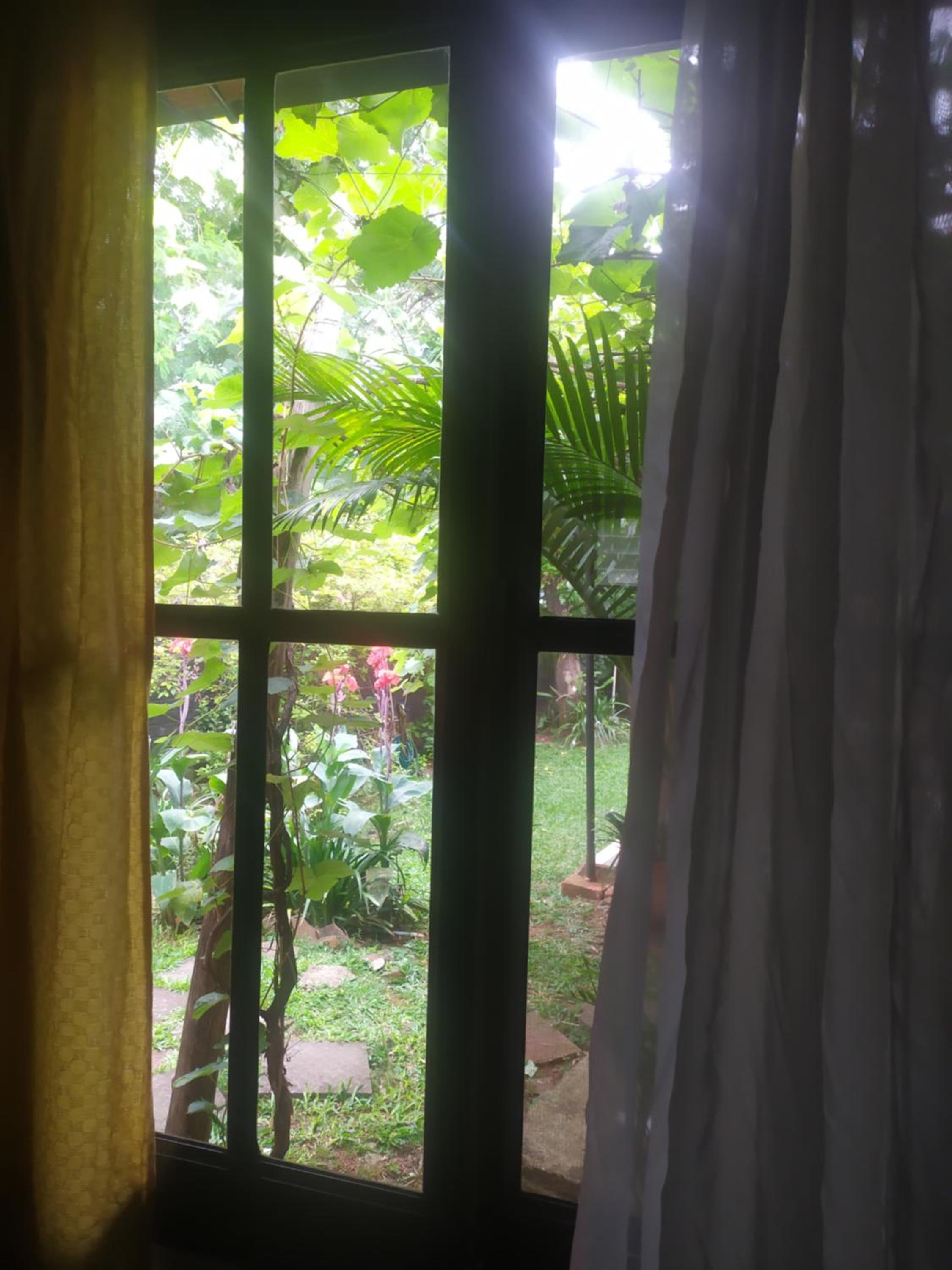 La casa del arroyo