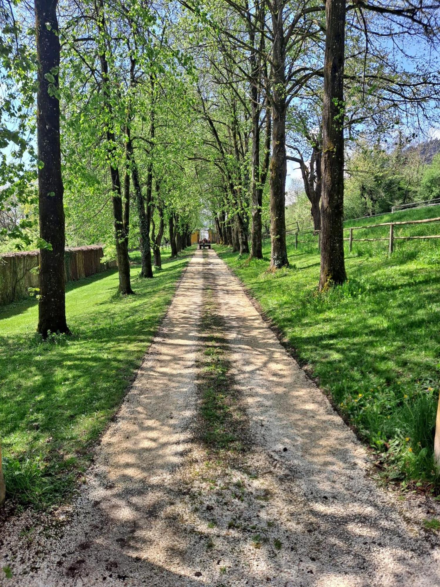 Ferienwohnung Ottmanach Schlosshof