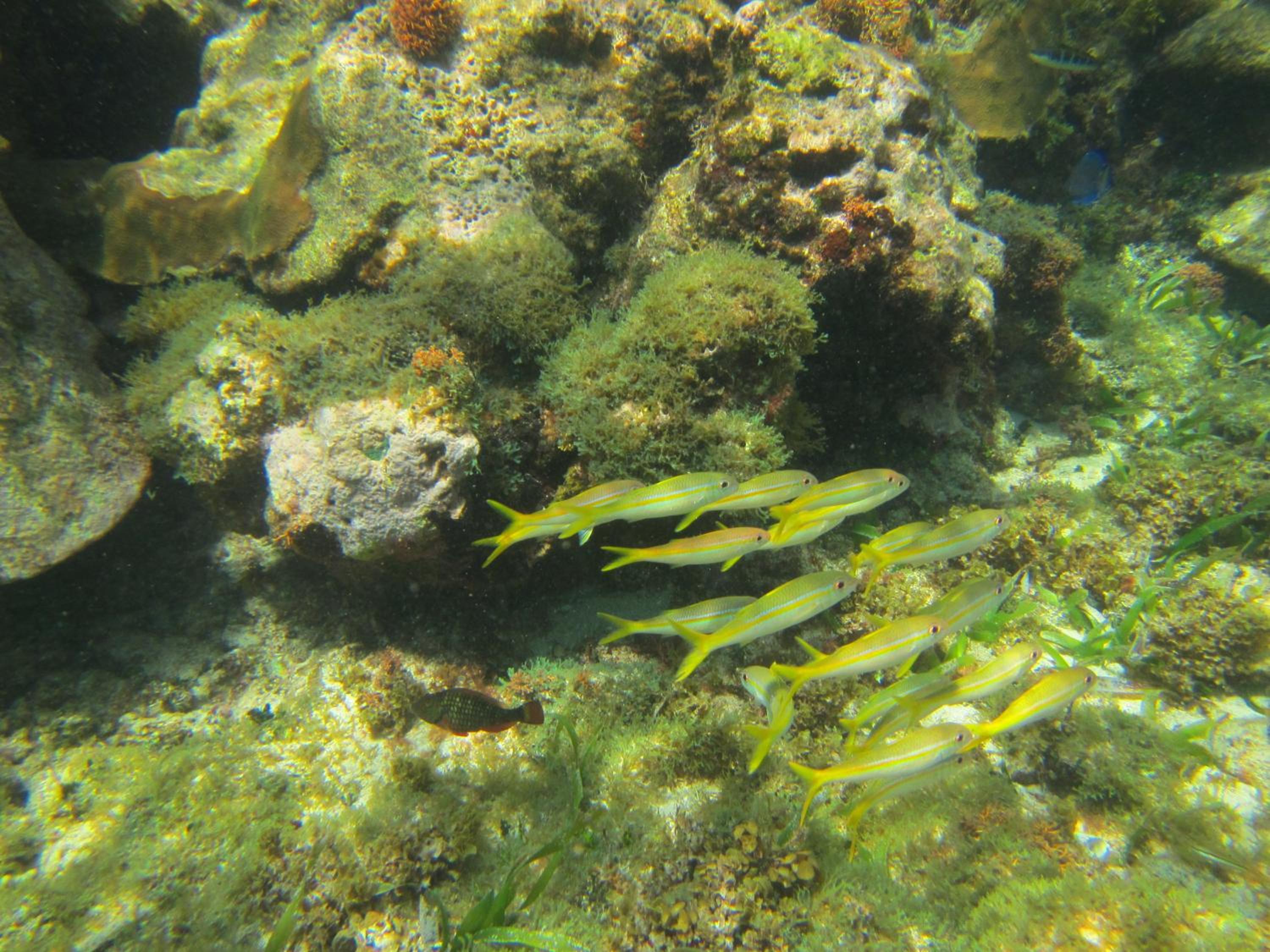 Photo 12