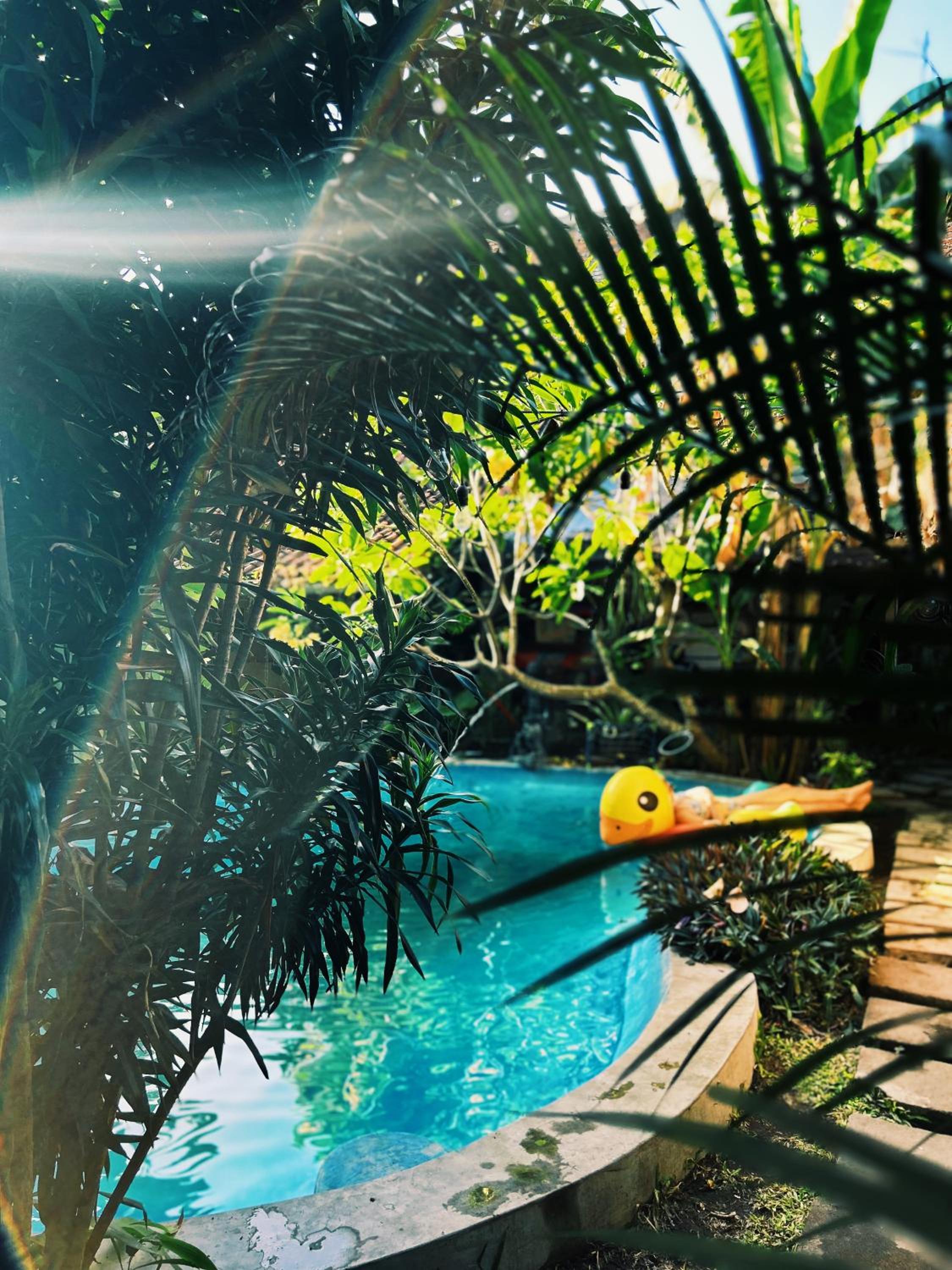 Losmanos Hostel - Image 4