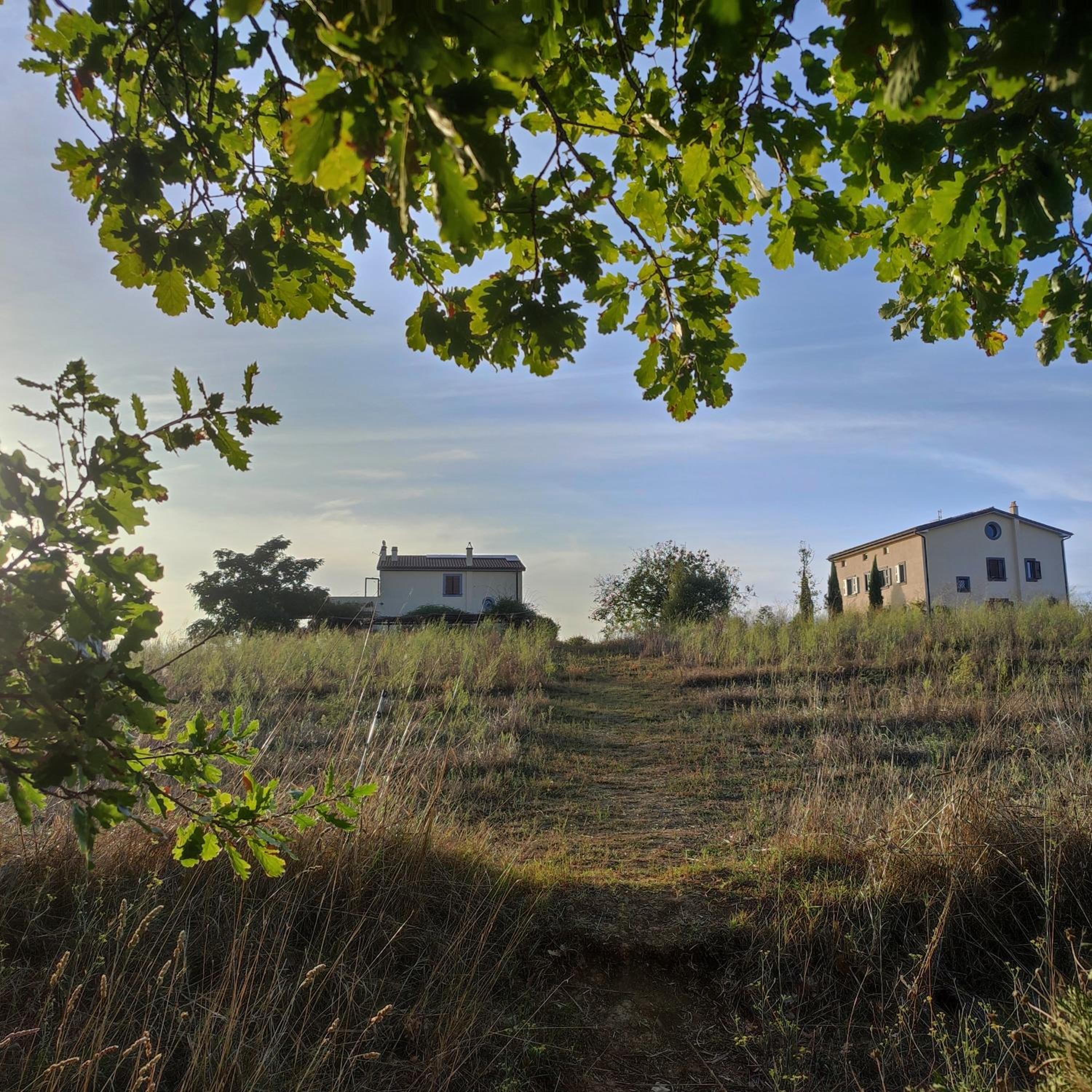 Agriturismo Tenuta La Castelluzza view 3