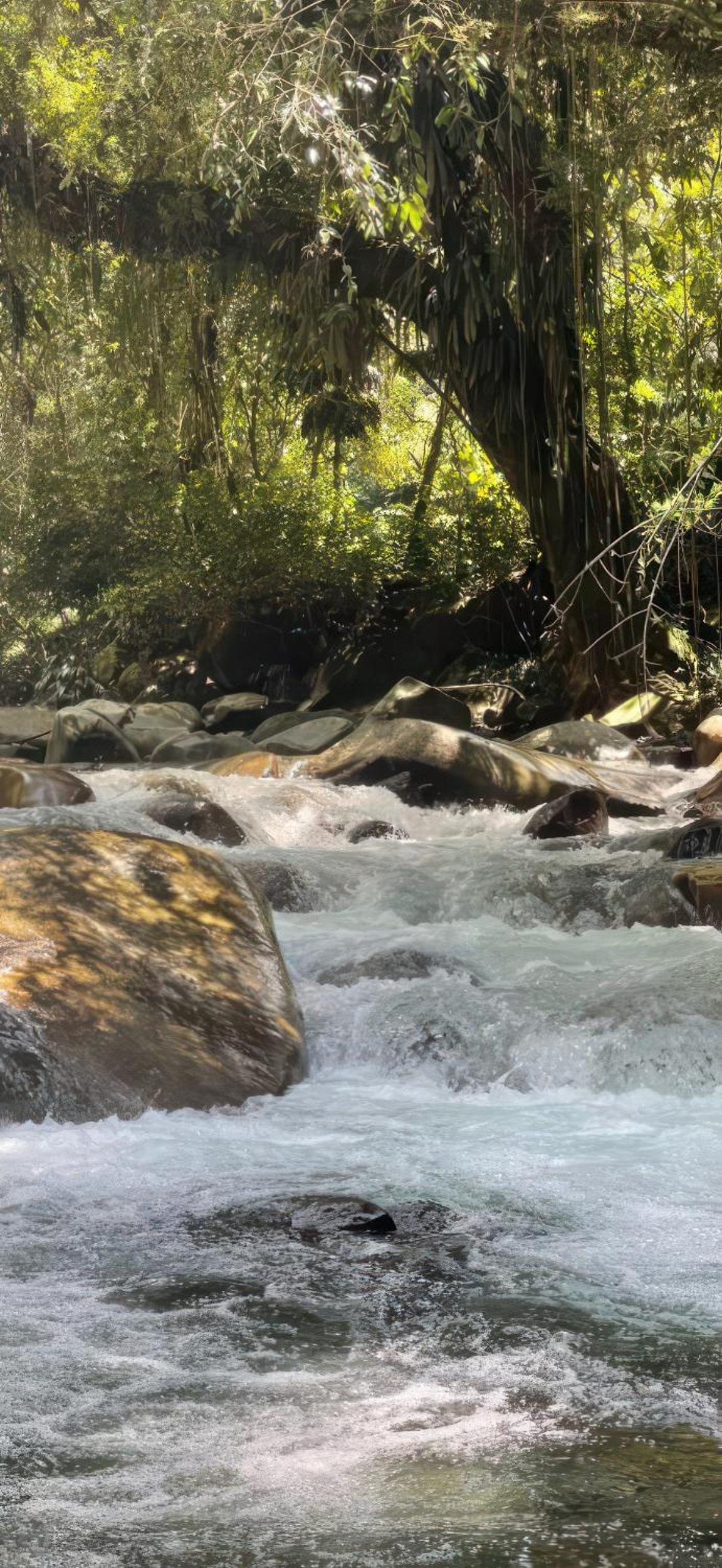 Cabaña Eco-Río Cristalino/Hamacas/Fogata
