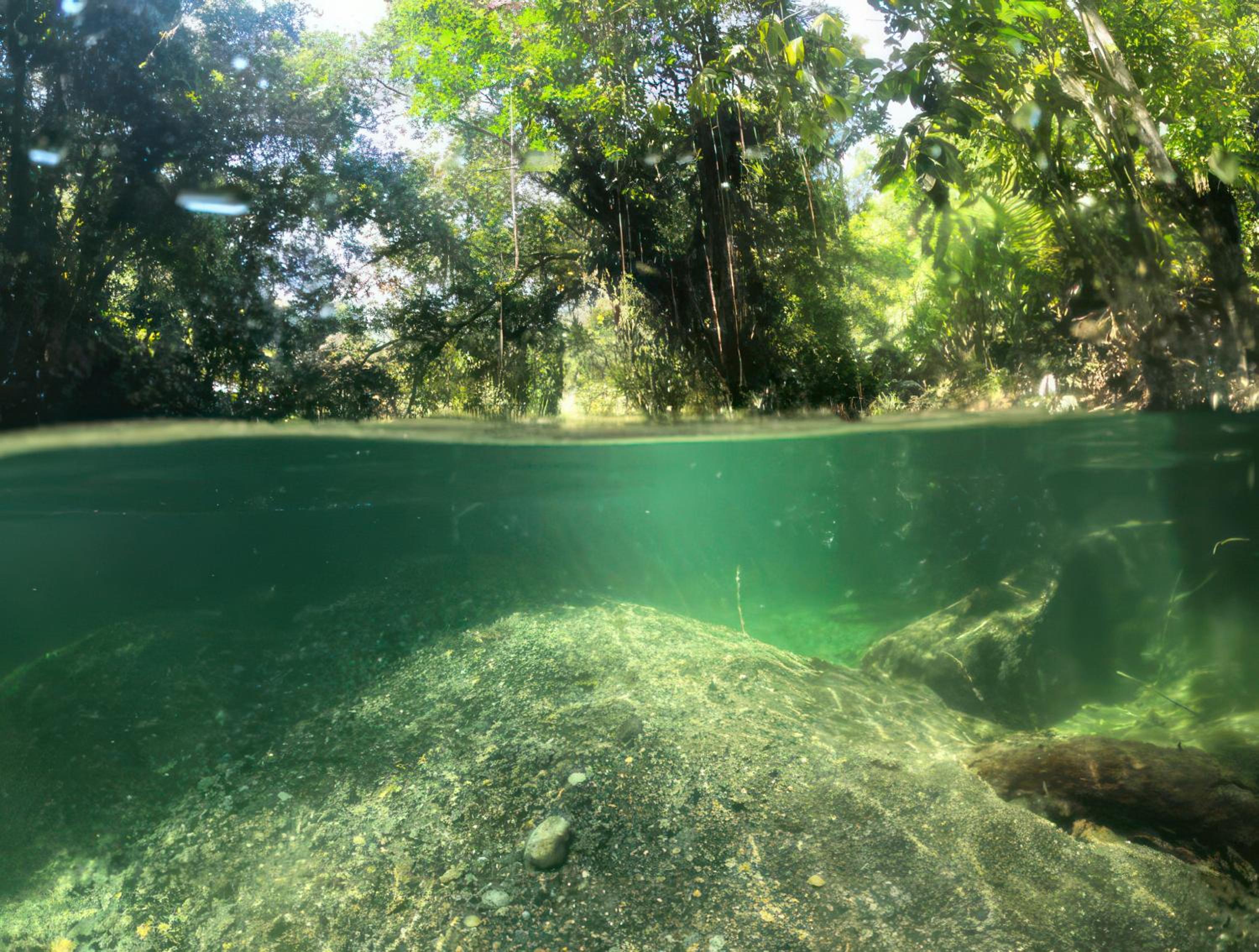 Cabaña Eco-Río Cristalino/Hamacas/Fogata