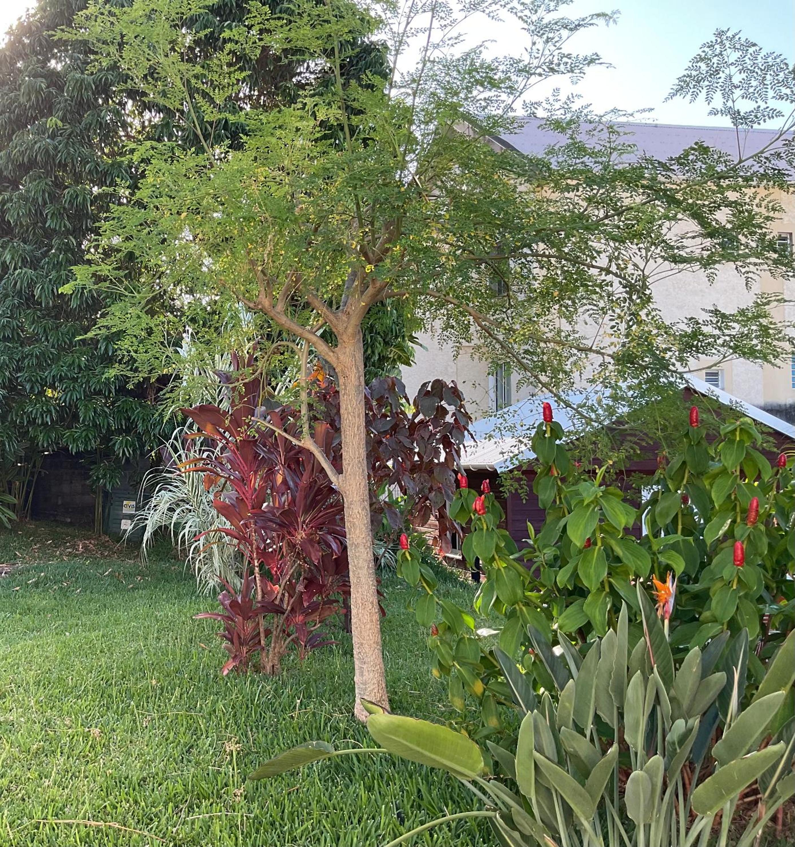 Photo 19