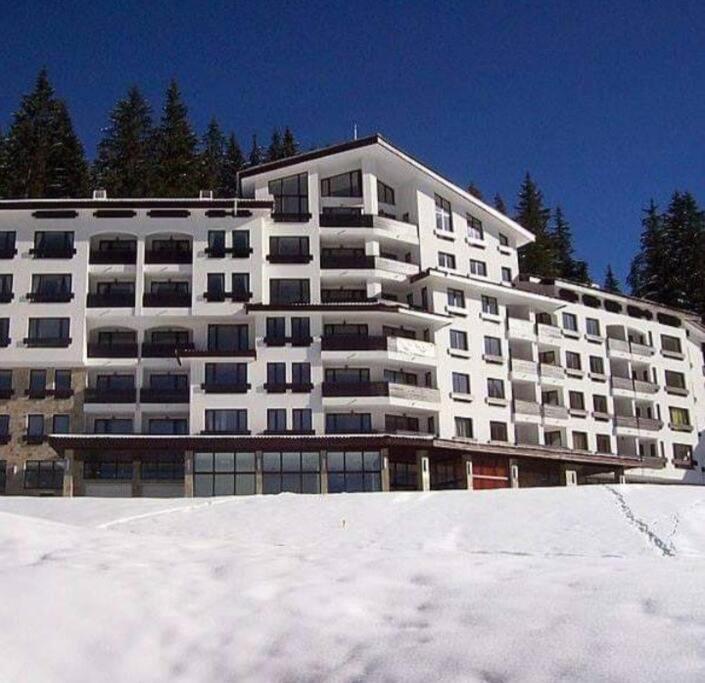 Pamporovo Studio Five