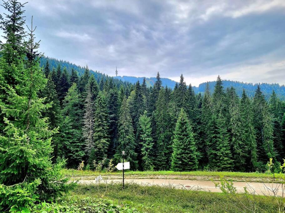 Pamporovo Studio Five