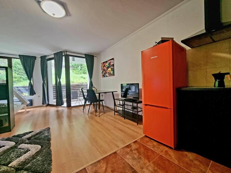 Pamporovo Studio Five