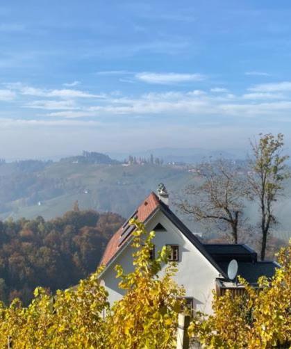 Weingartenhaus Eckberg41