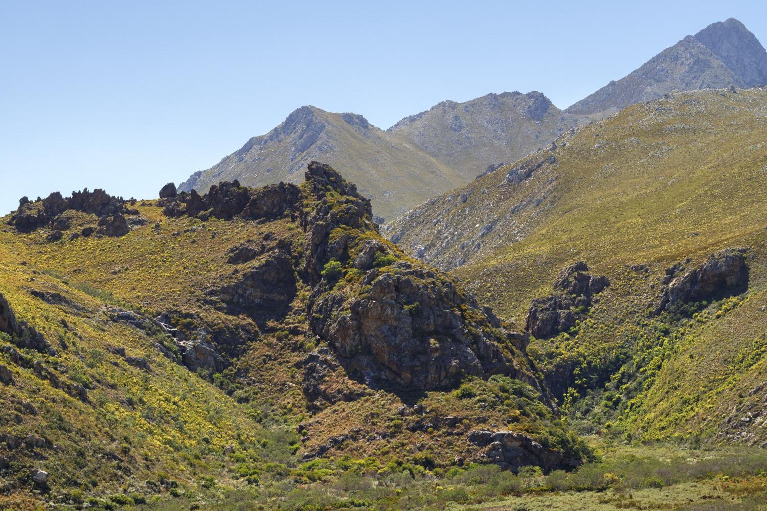Photo 25