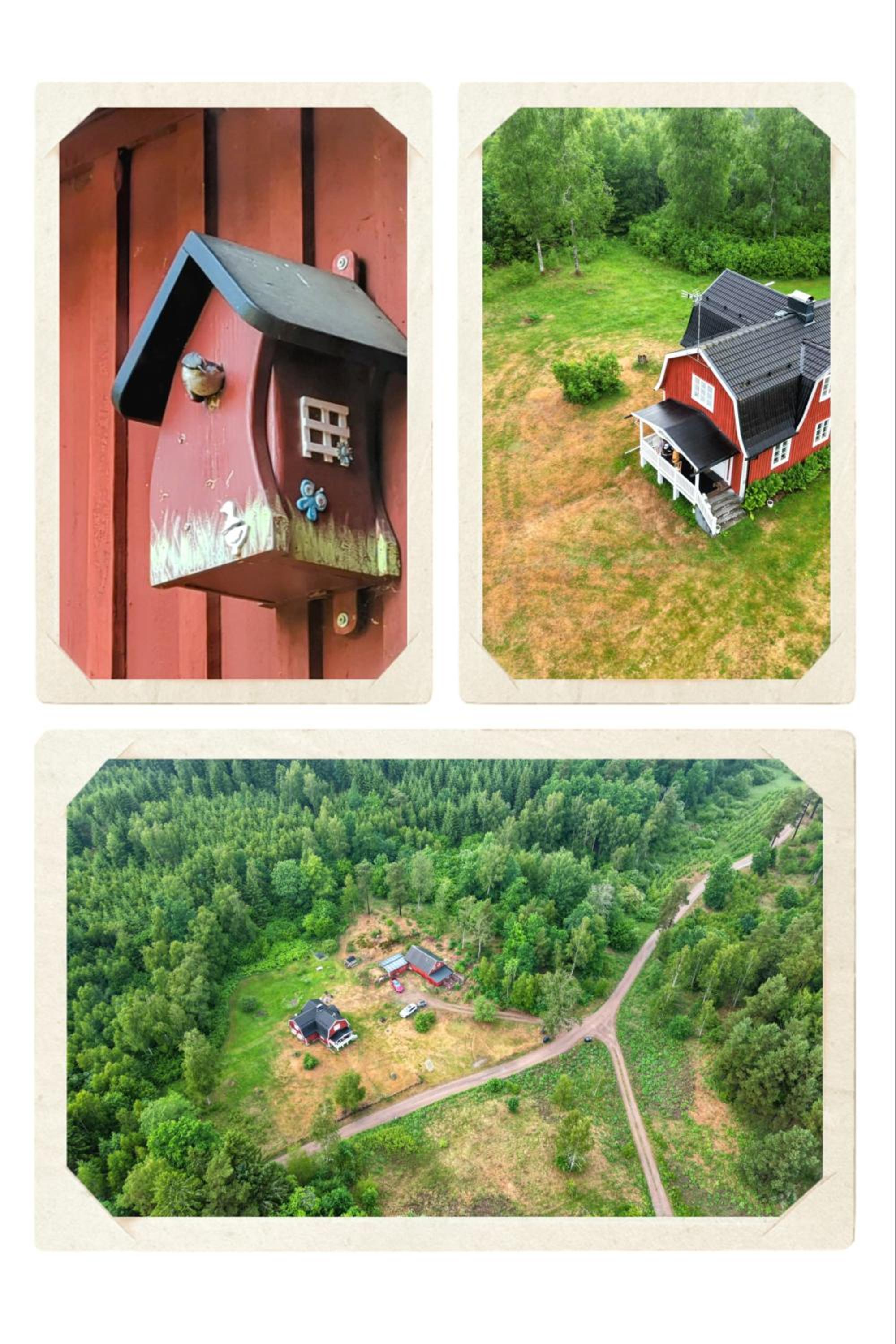 Charming Swedish Cottage from 1909 view 5