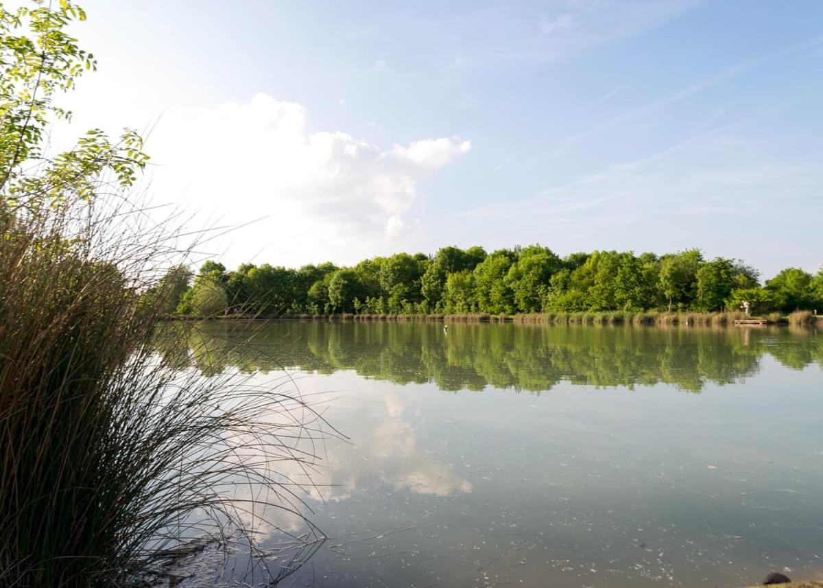 Bosworth Lakeside Lodges